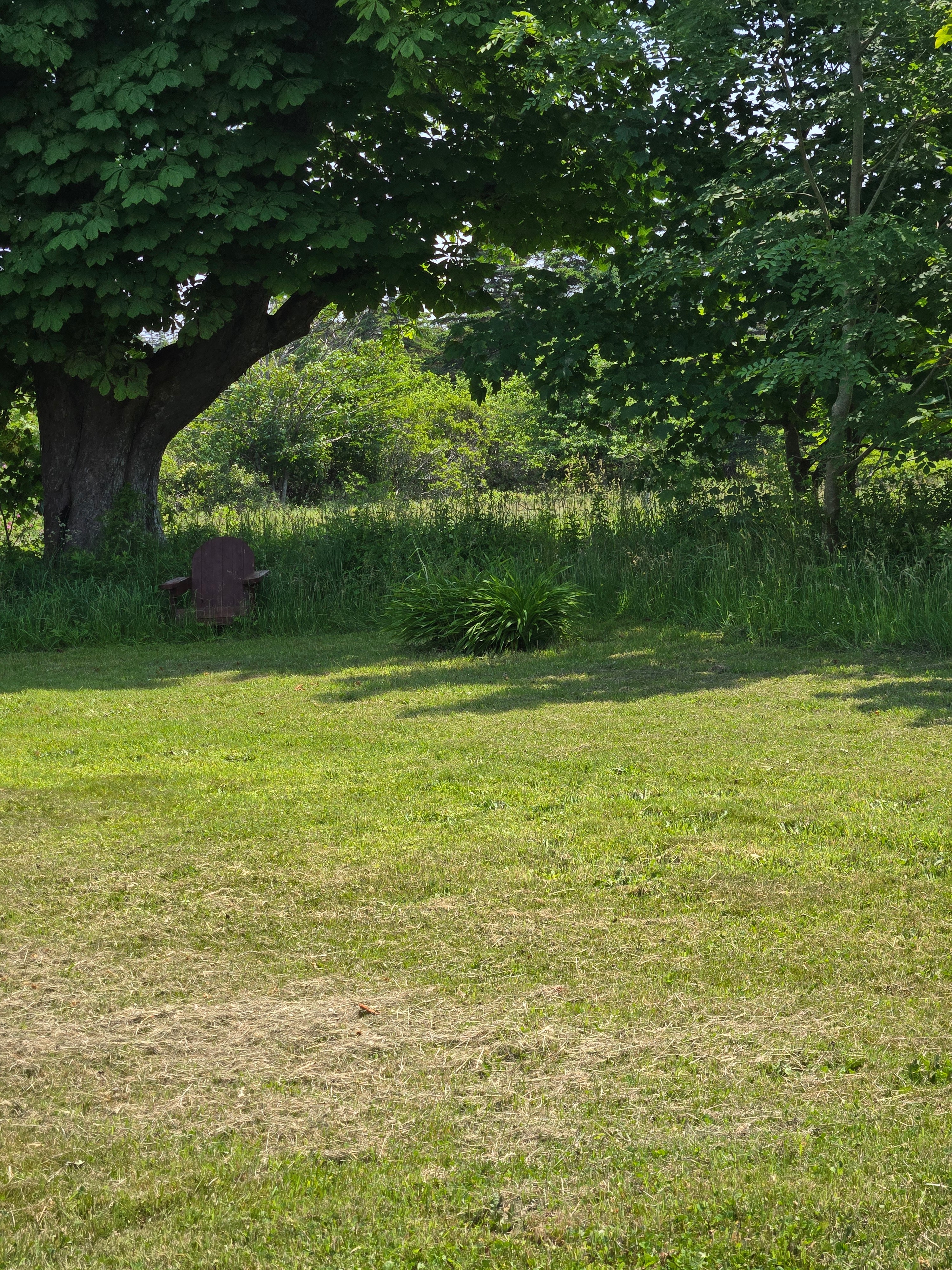 Green Grass of Home