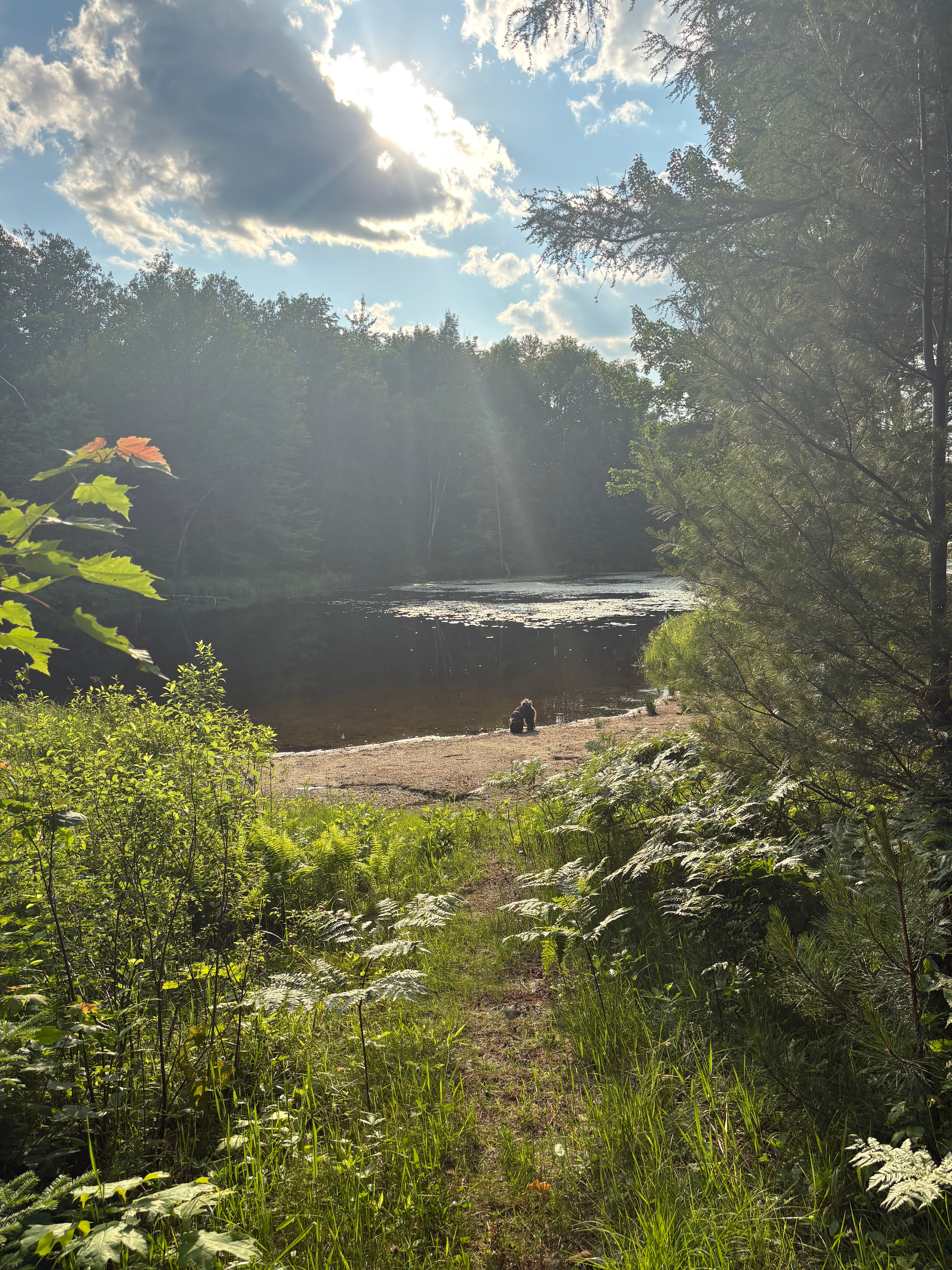 acces a la plage