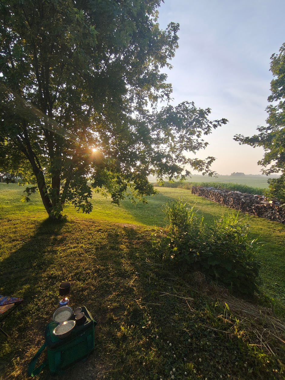 morning light