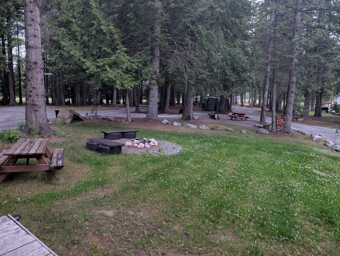 Under the Cedars