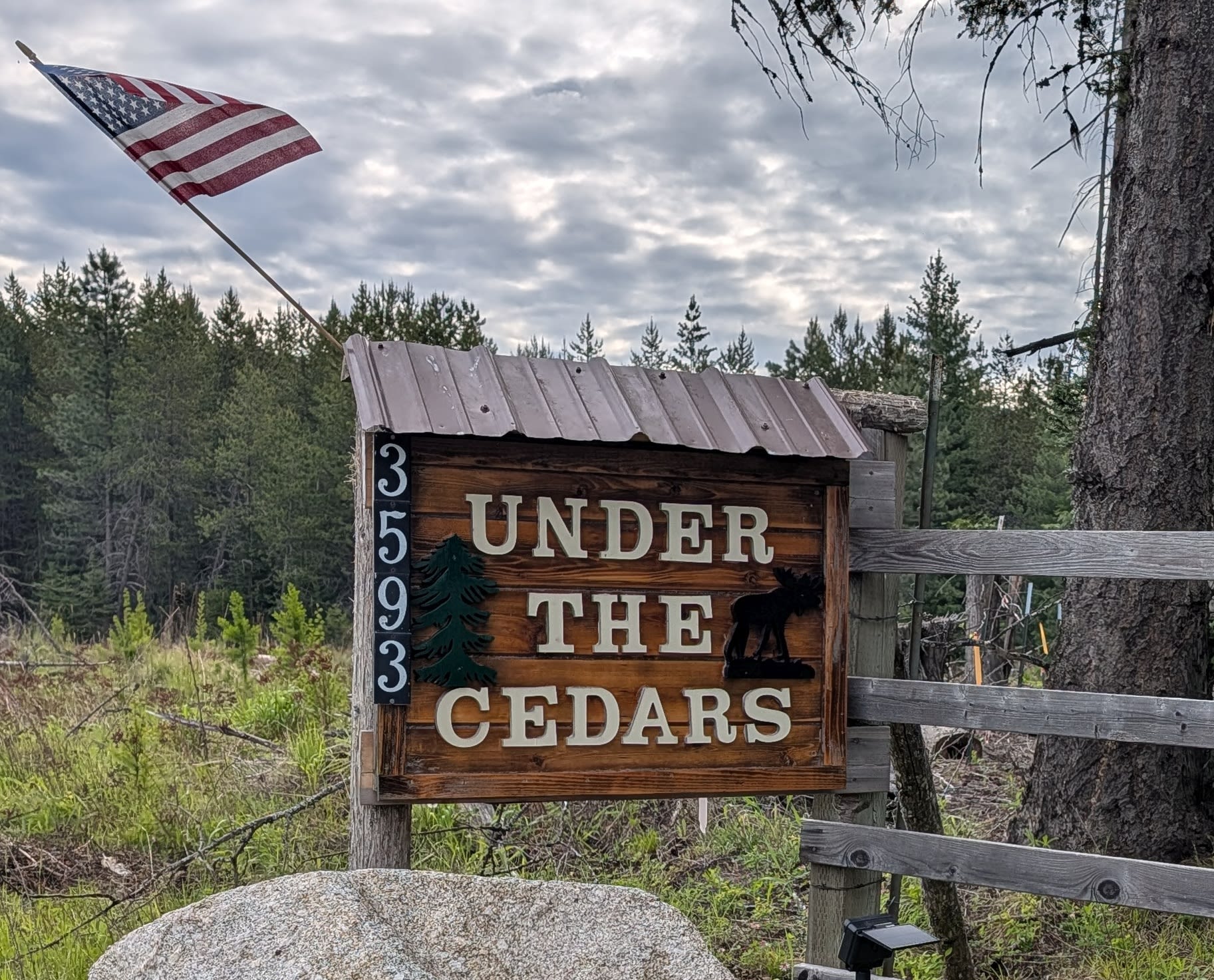 Under the Cedars
