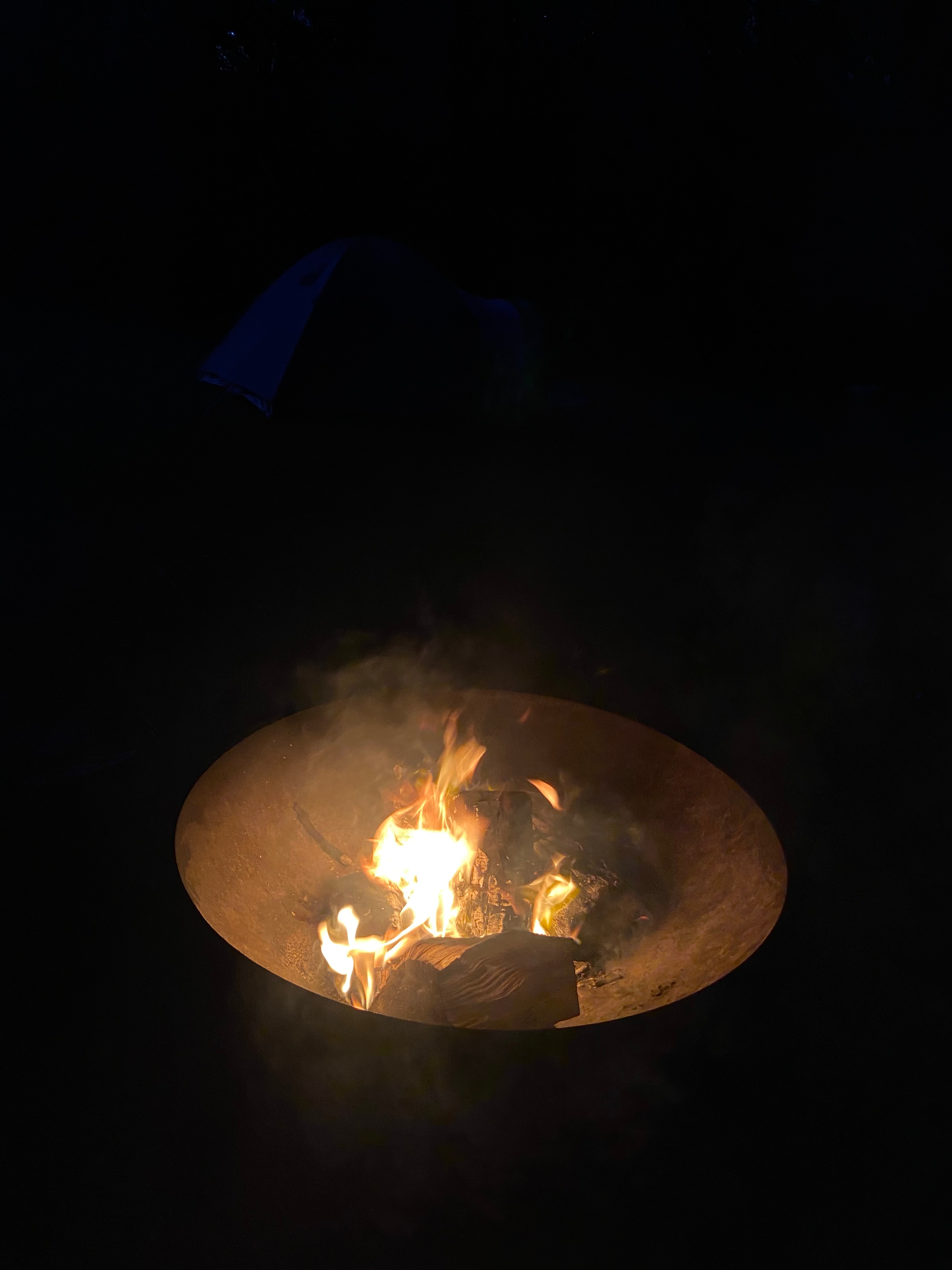 rented fire pit- definitely worth it!!