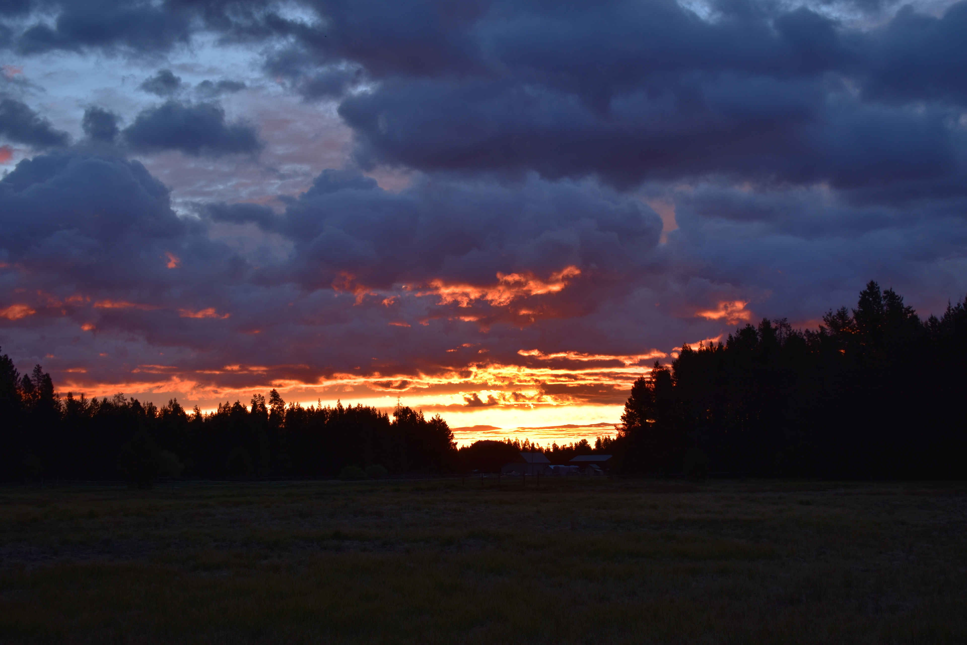 Moonrise Meadow Willow Camp