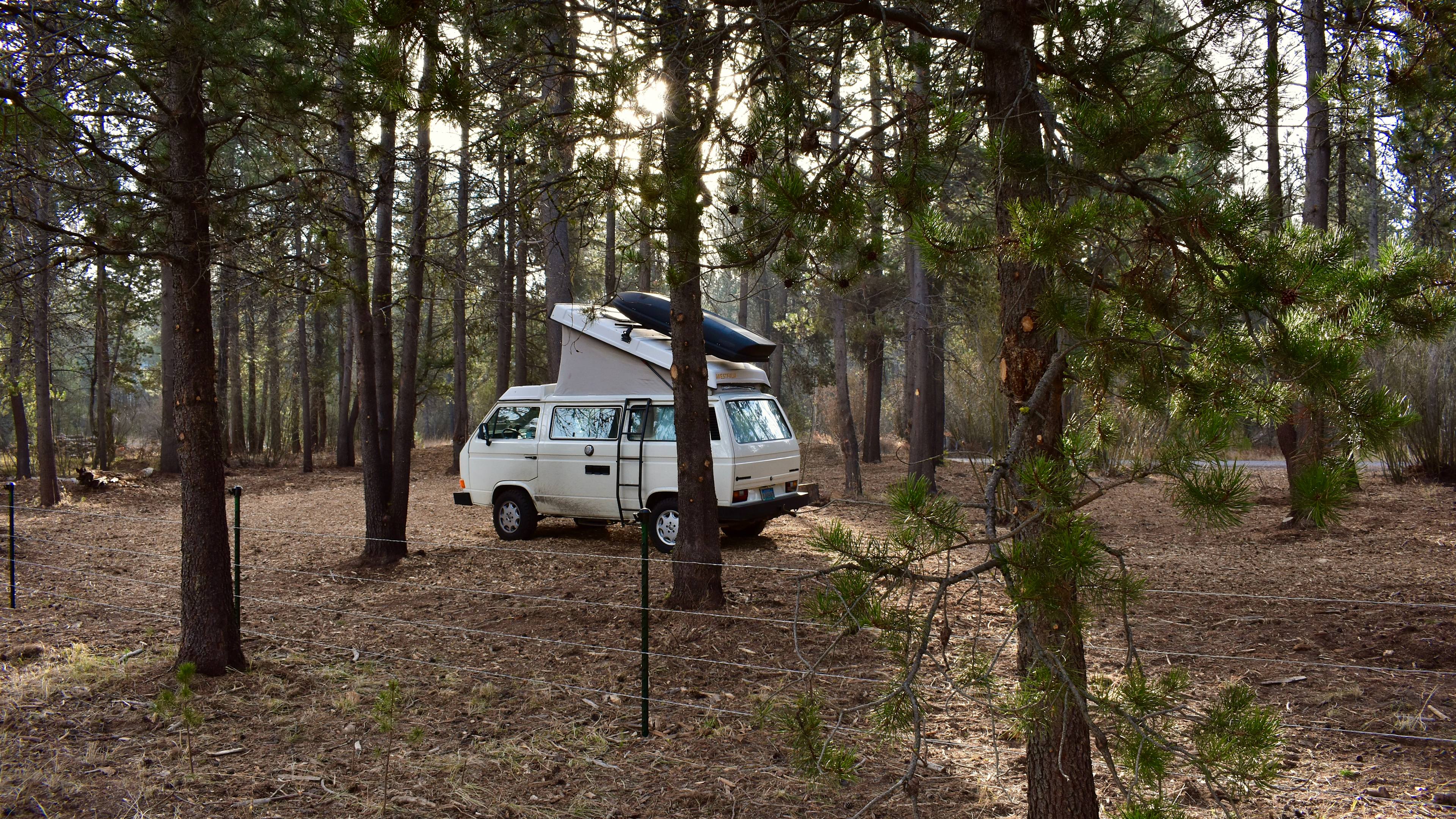 Moonrise Meadow Willow Camp