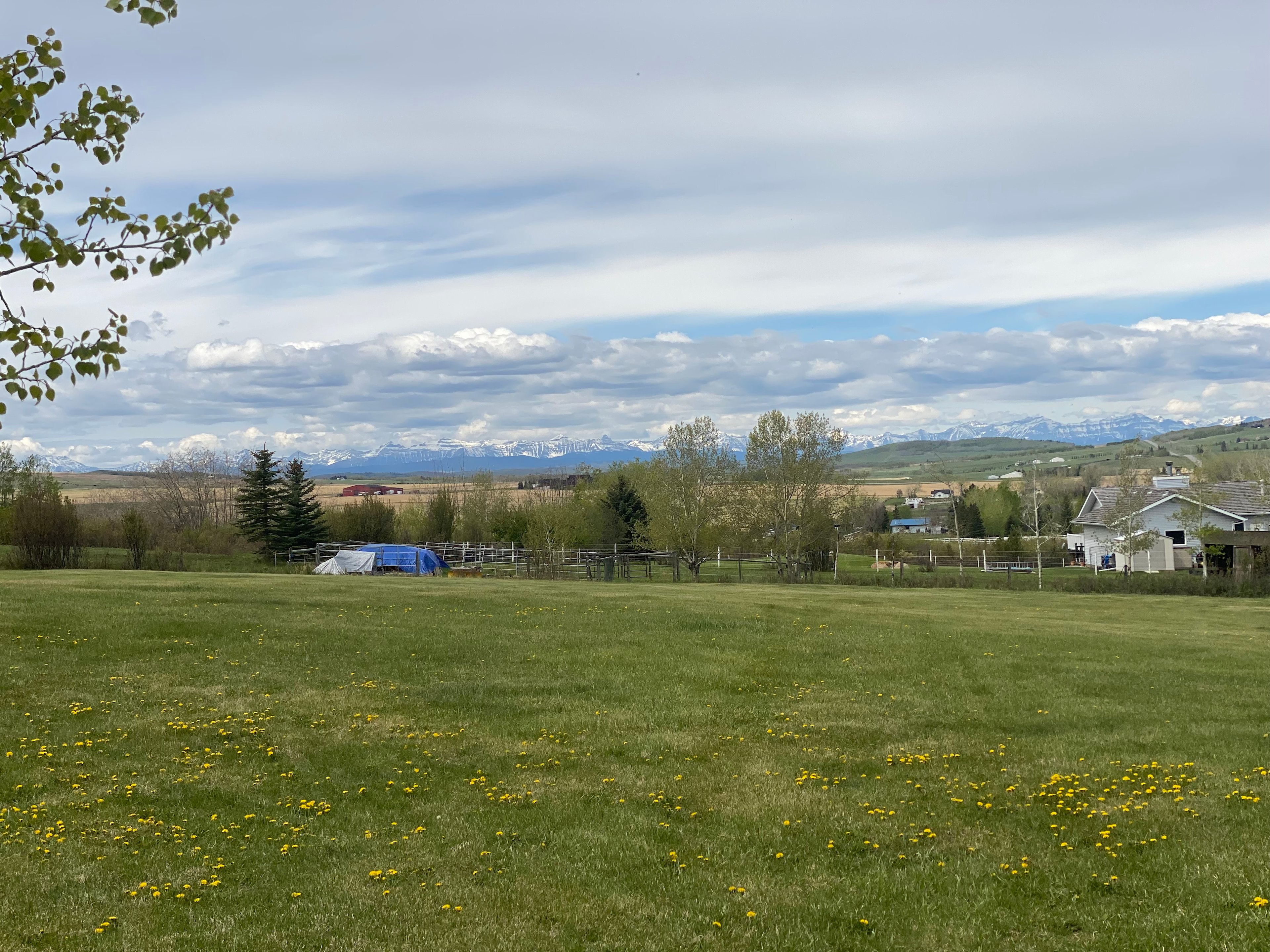 Mountain View in the Foothills
