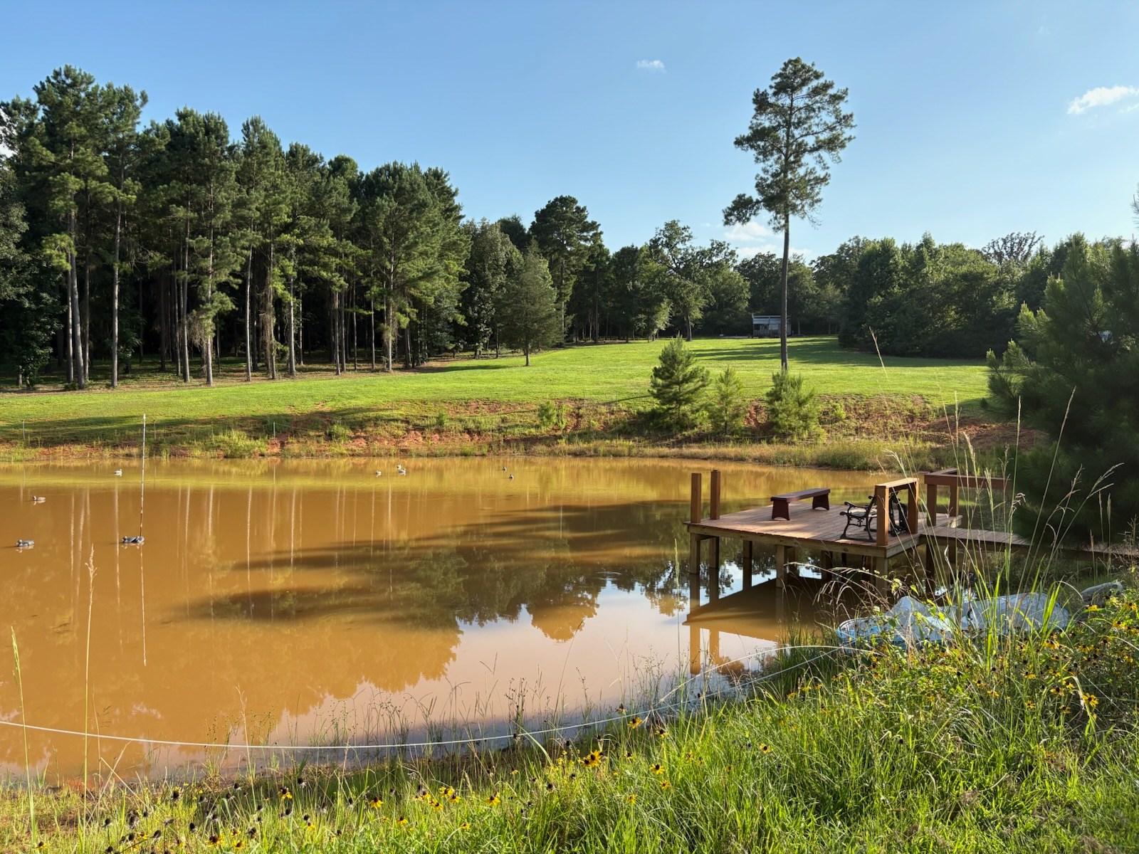 Paradise Pines Camping
