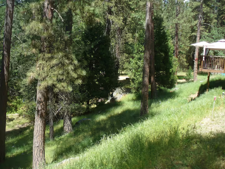 Shady Glen