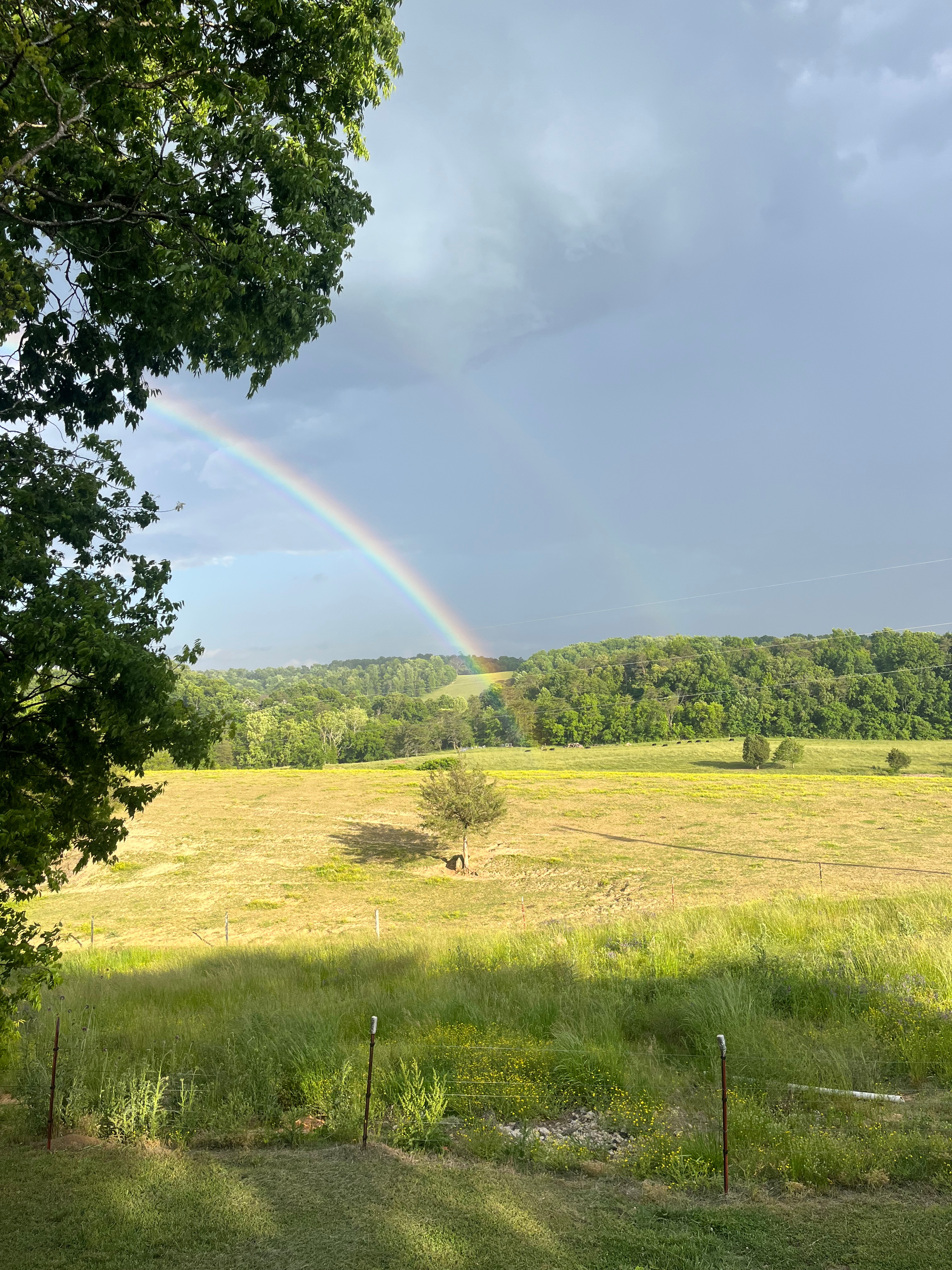 Tri C Farms