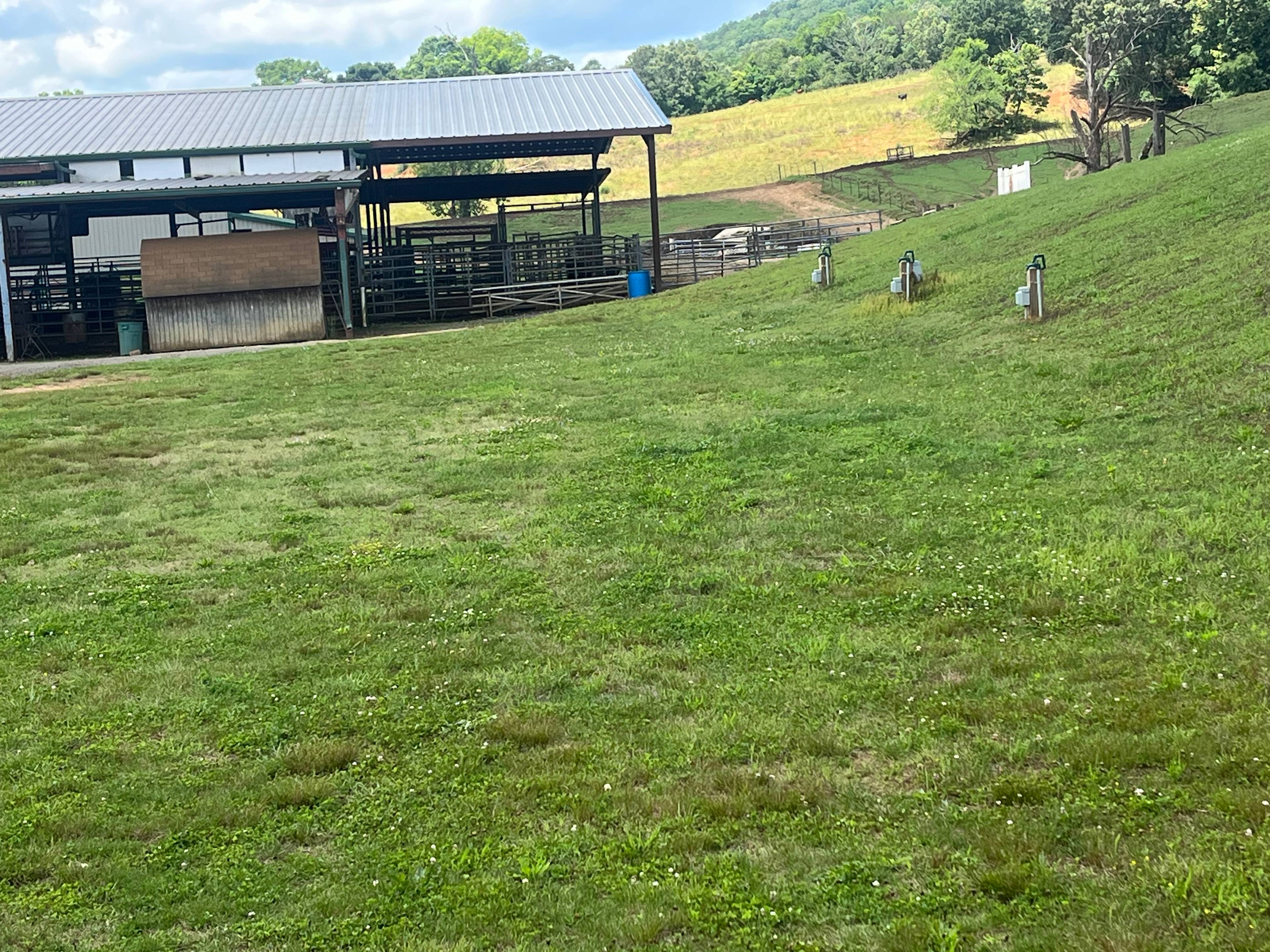Tri C Farms