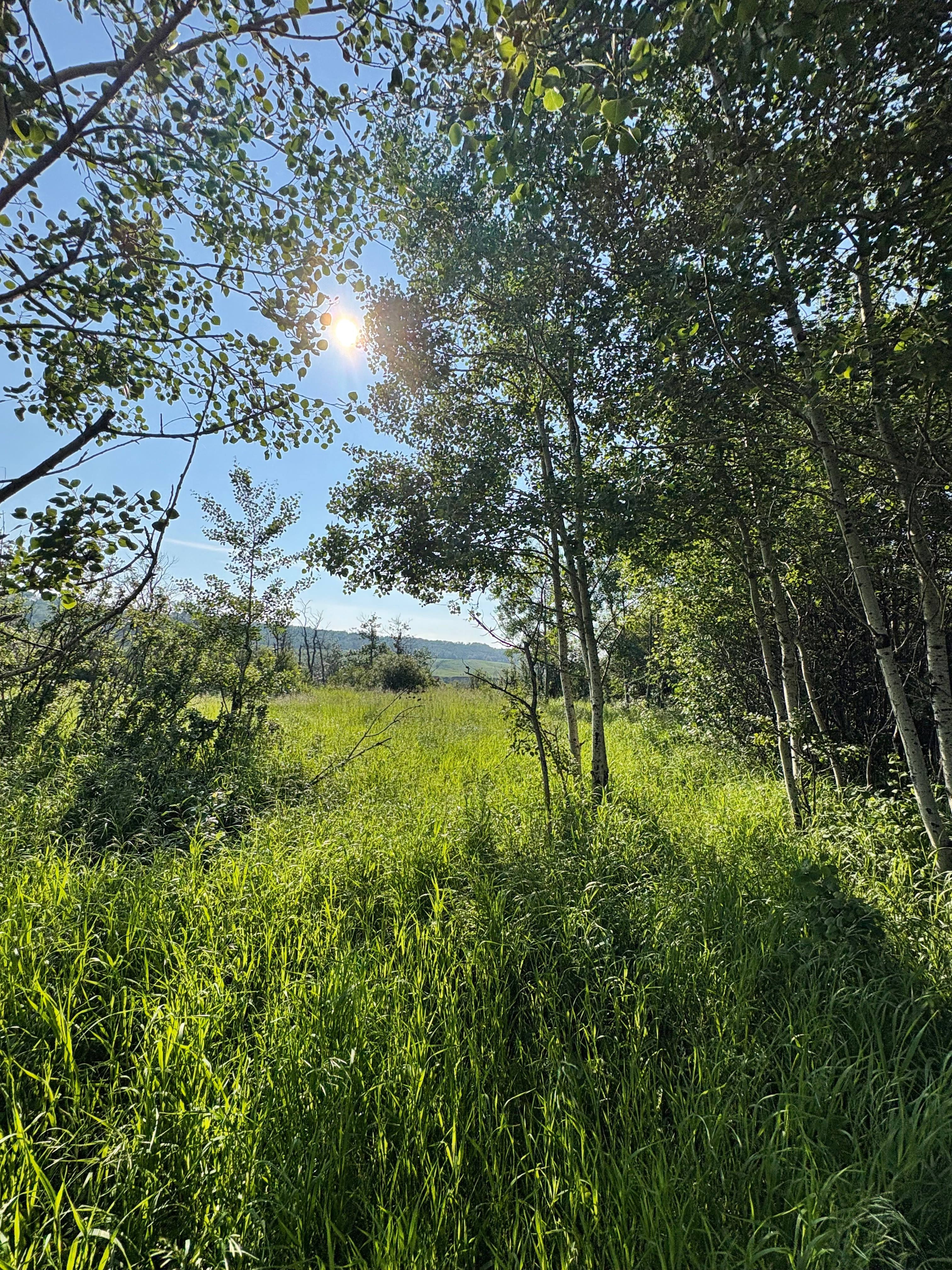 Bend on the Battle