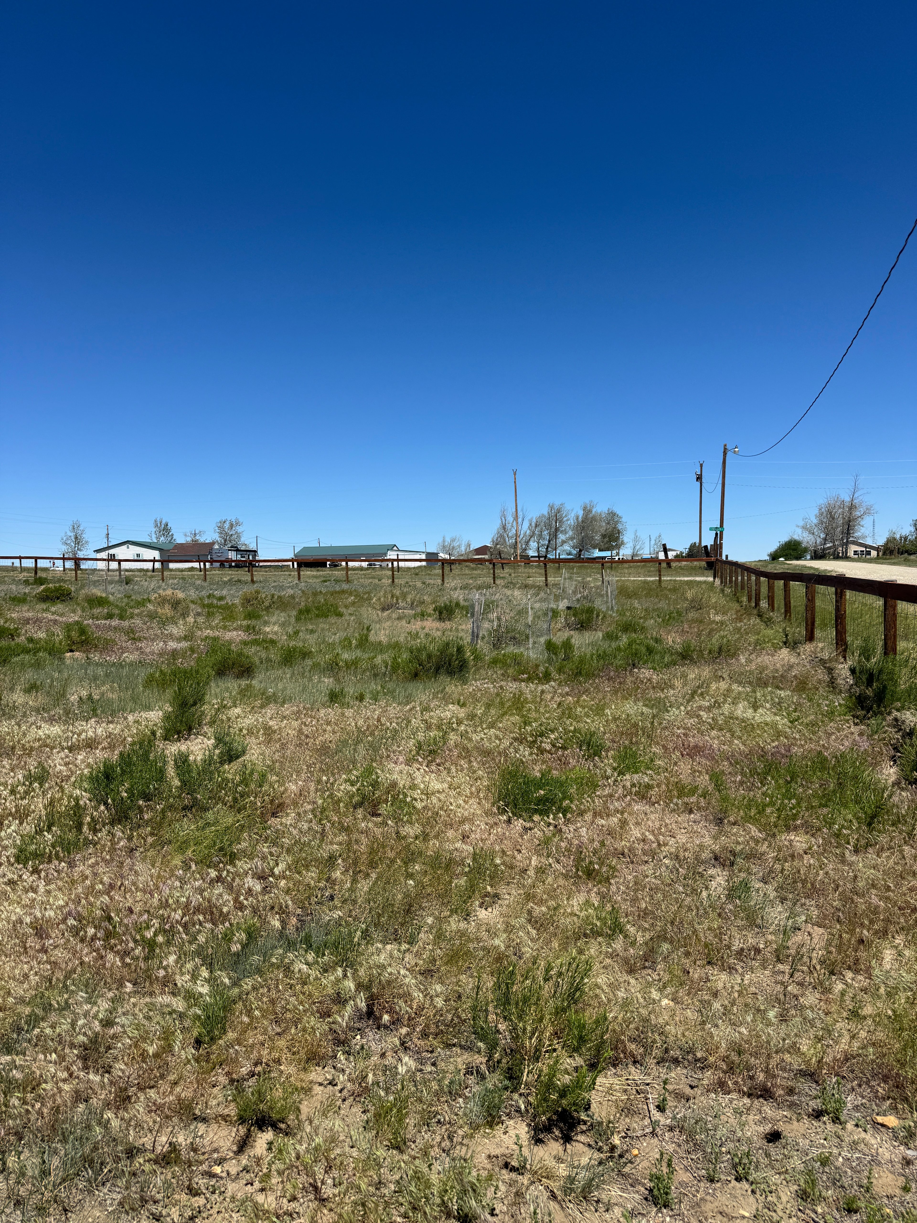 Little Field on the Prairie