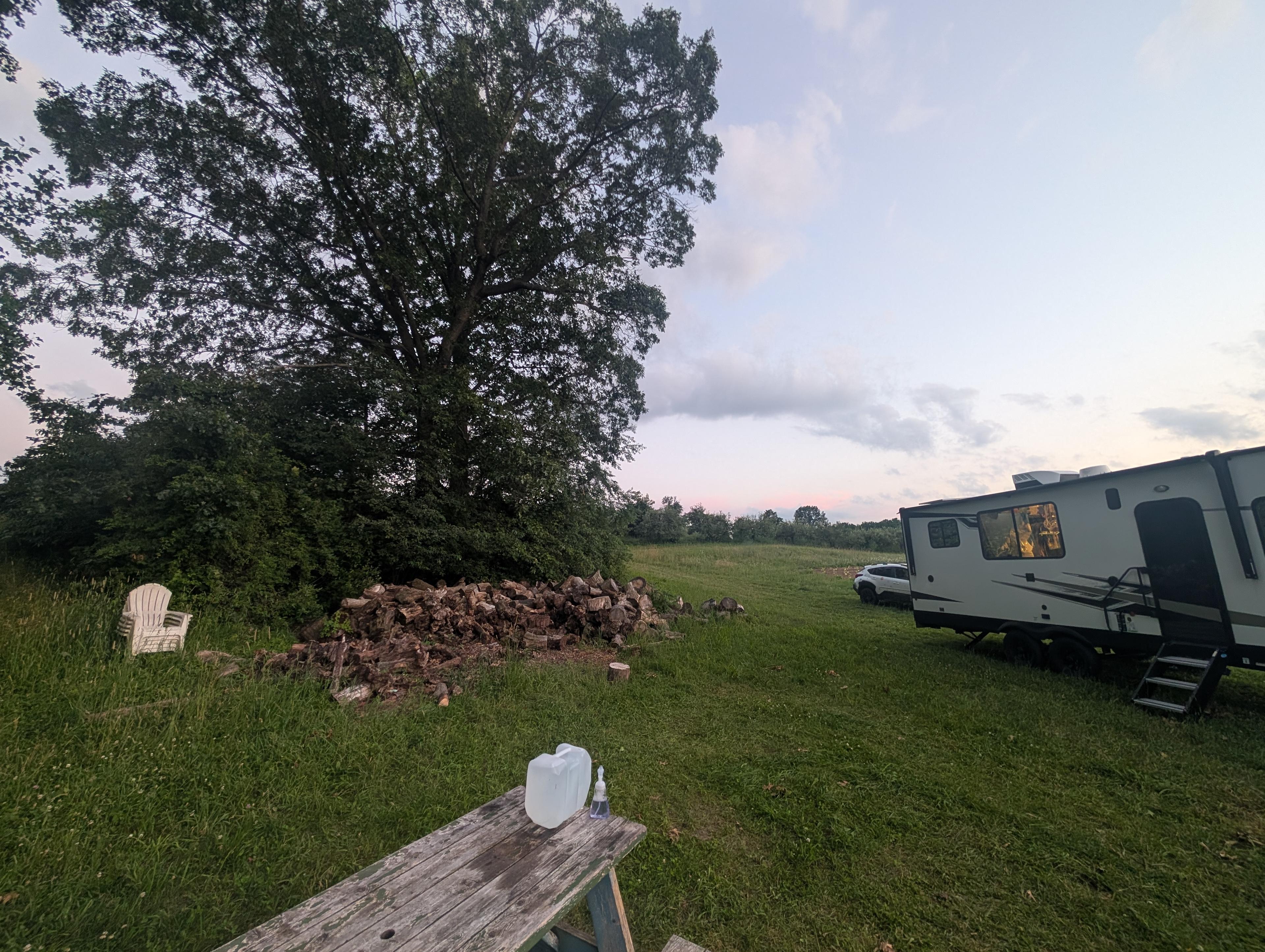 Organic Apple Orchard and Farm
