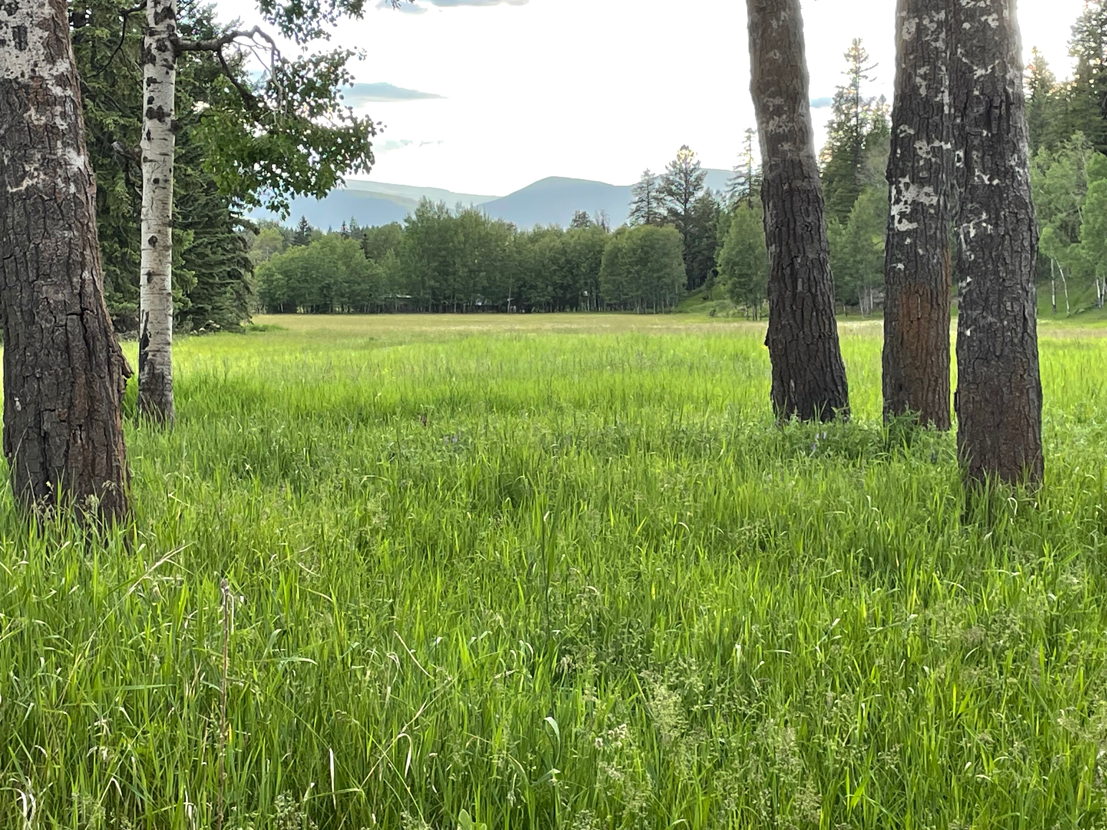 Elk Ridge Guest Ranch
