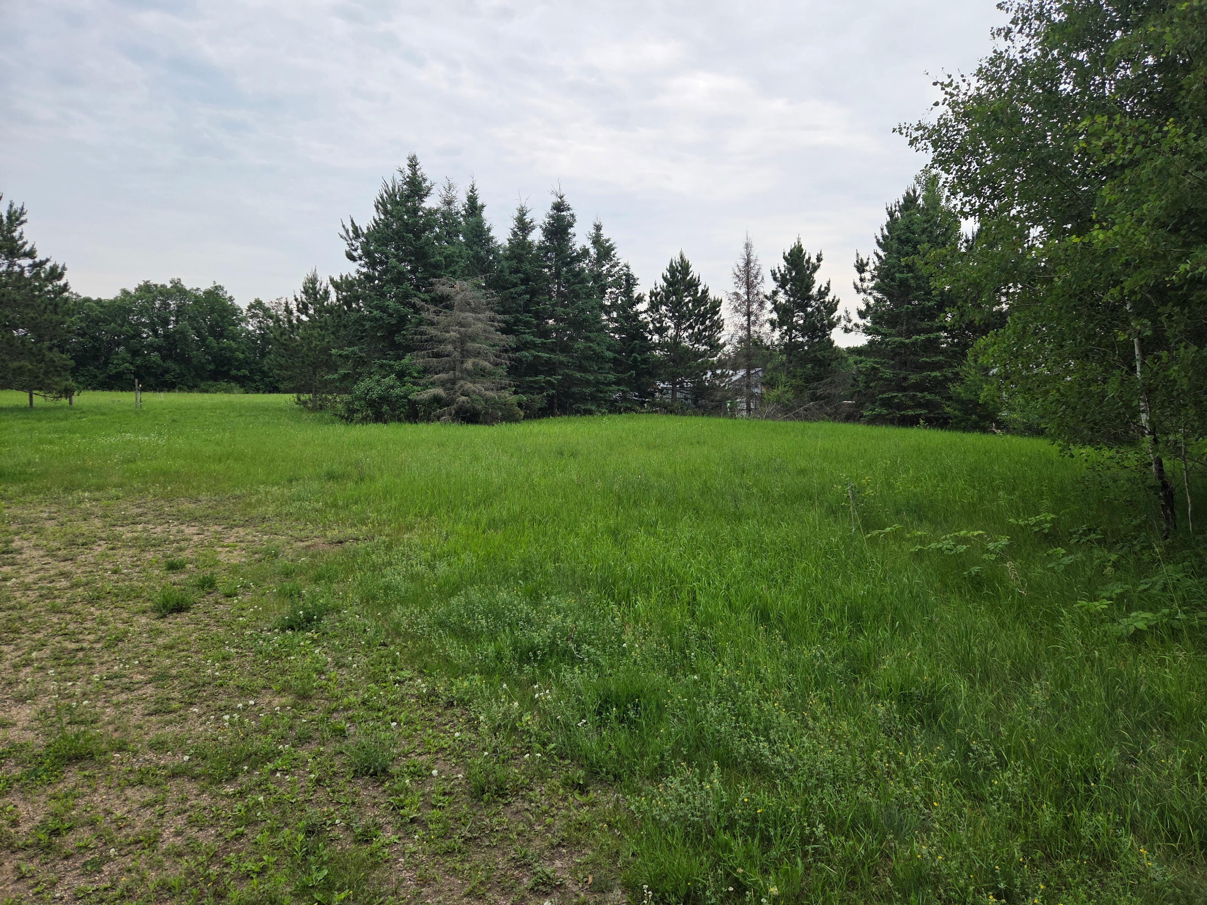 Muninn Meadow