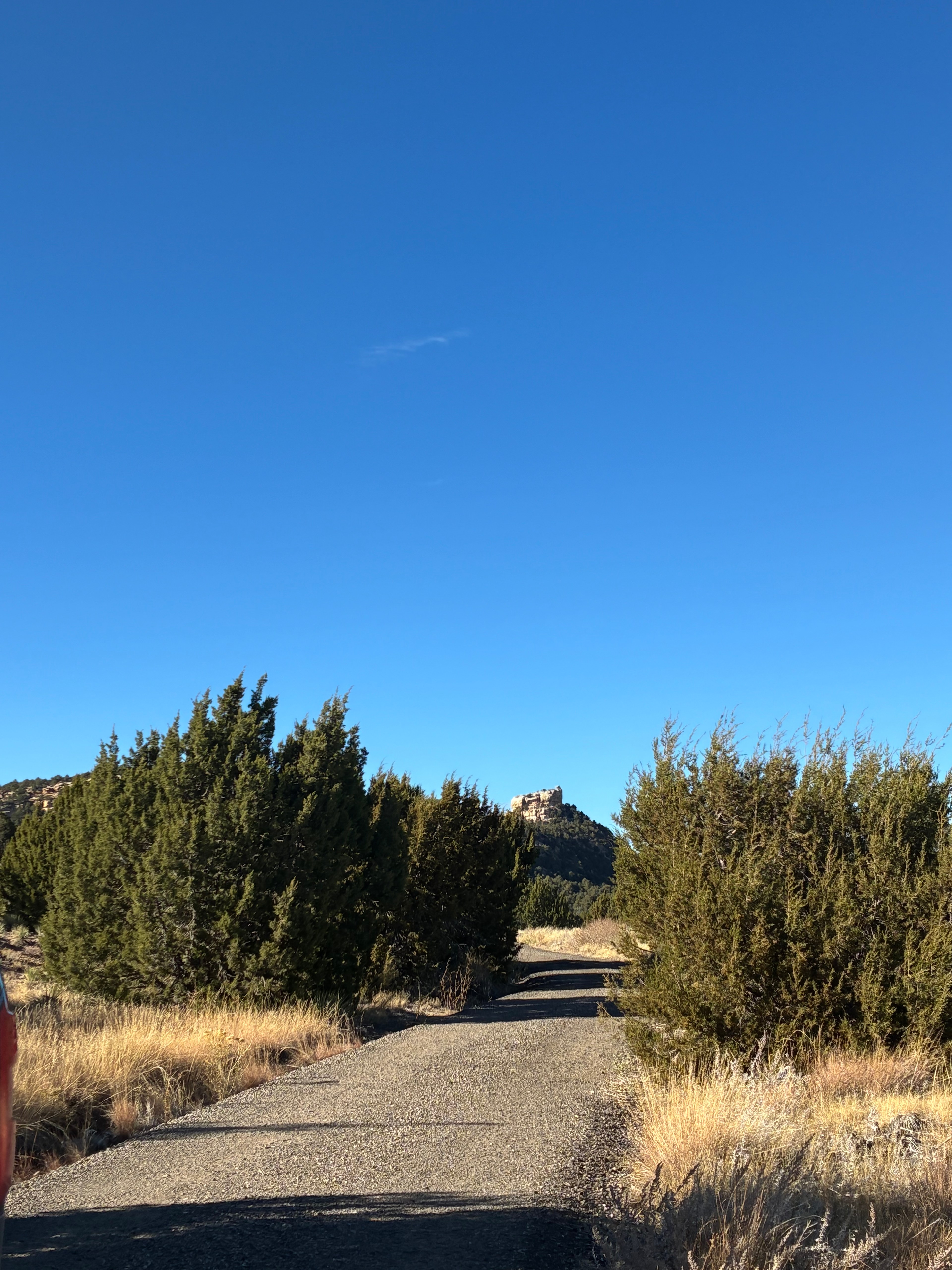 Free Range Ranch