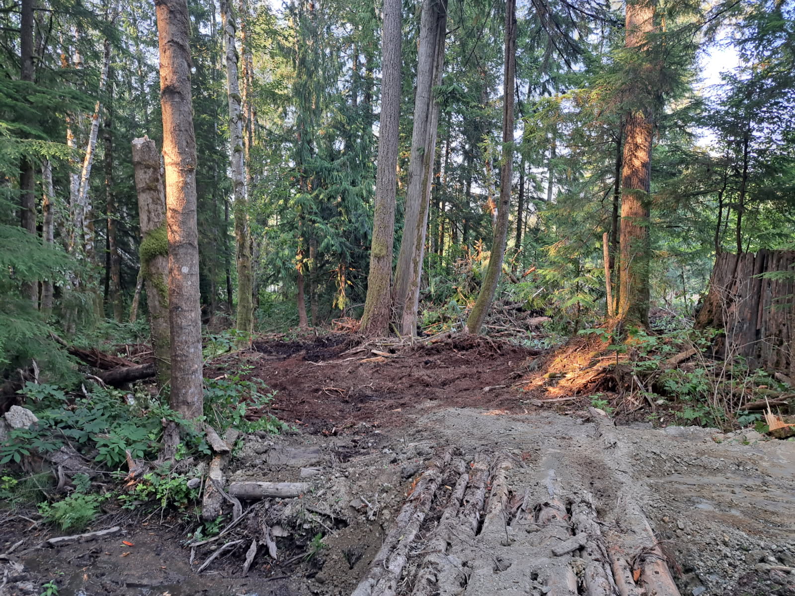 Catwalk Creek