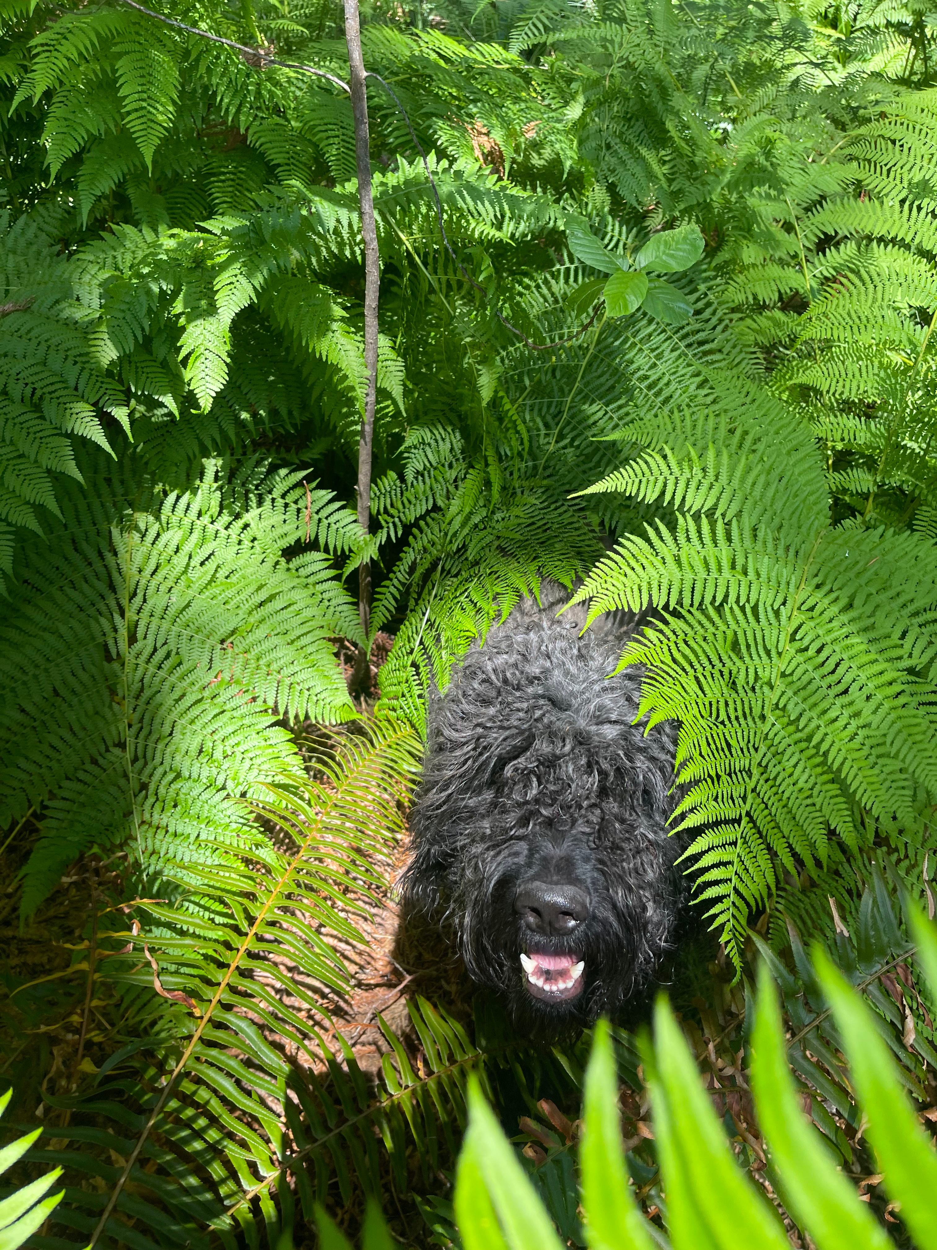 Meet Teddy, our property mascot!