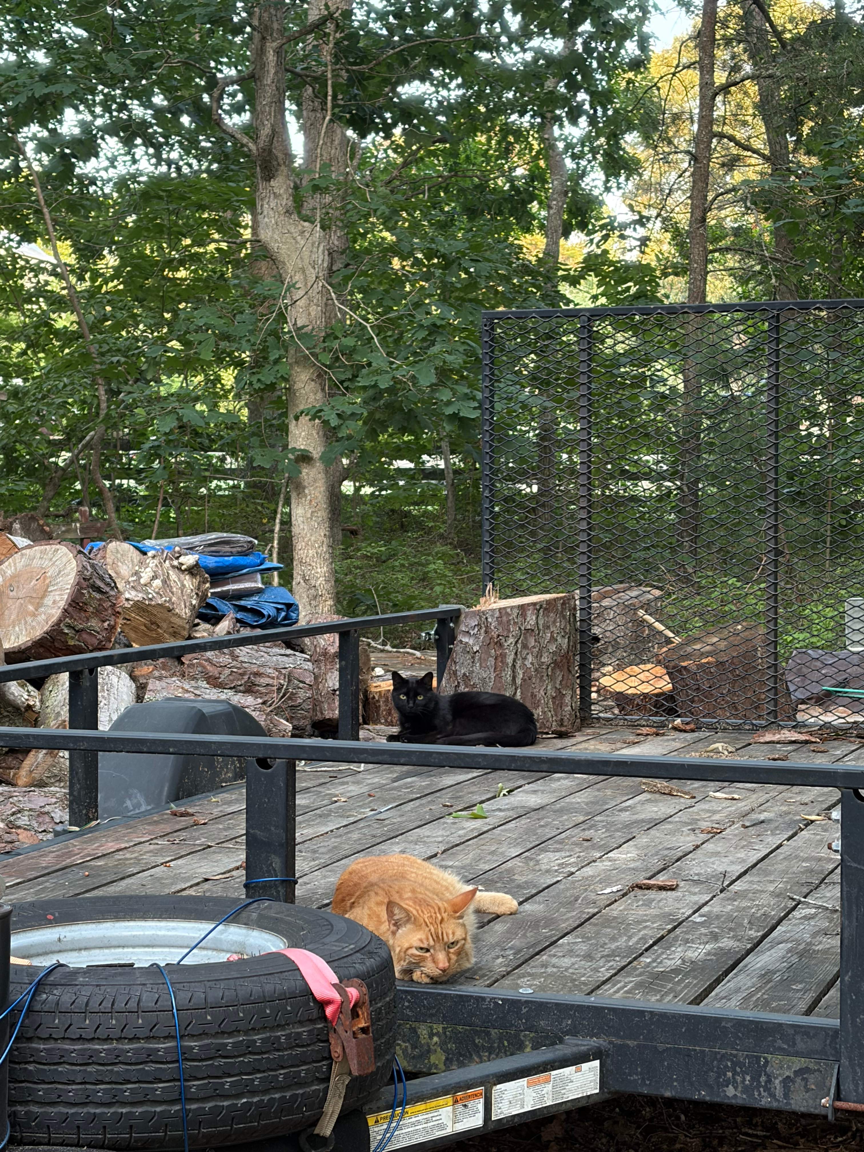 Woods, Beach, Indoor Bath, Jacuzzi