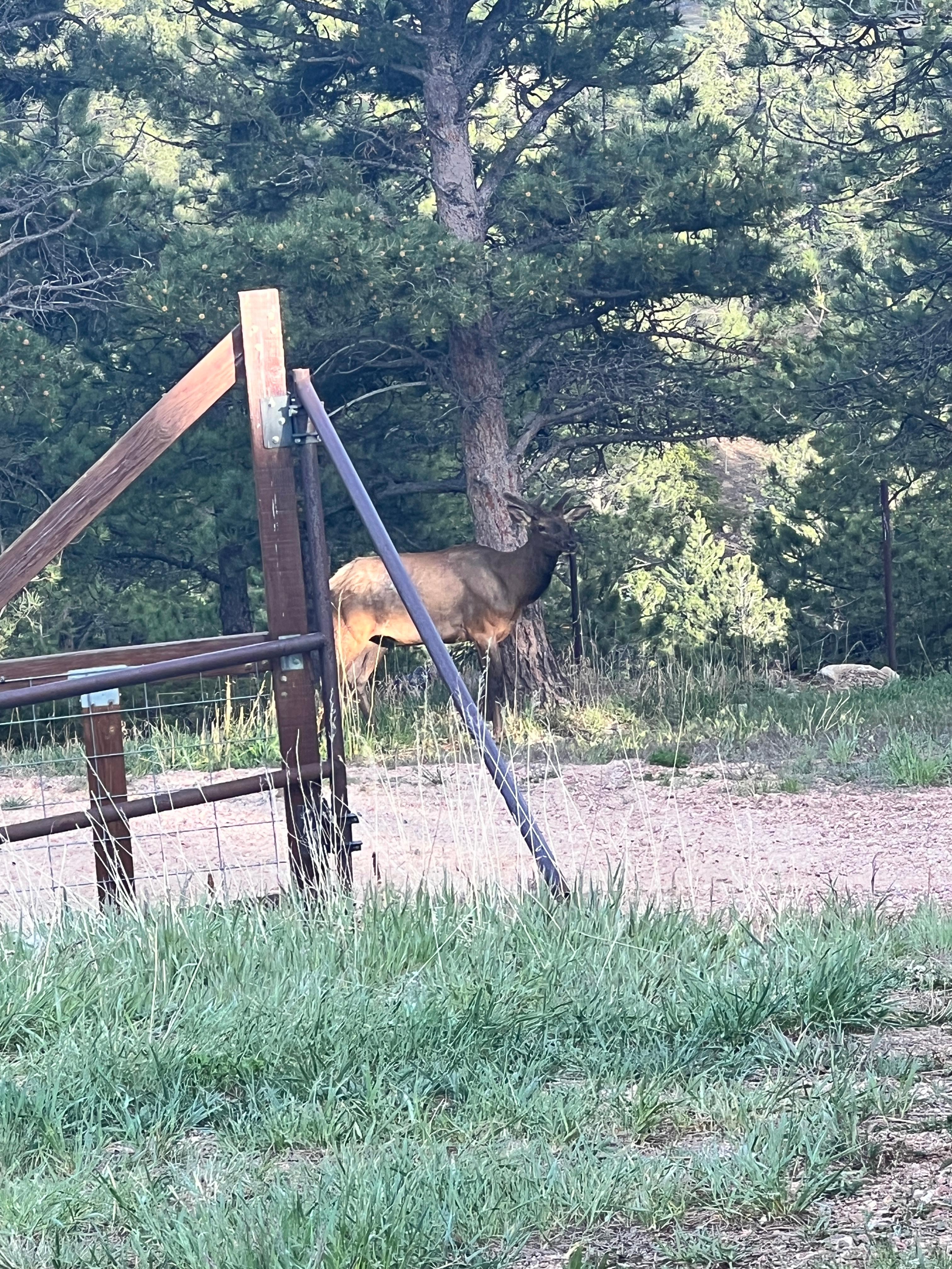 High Point Ranch