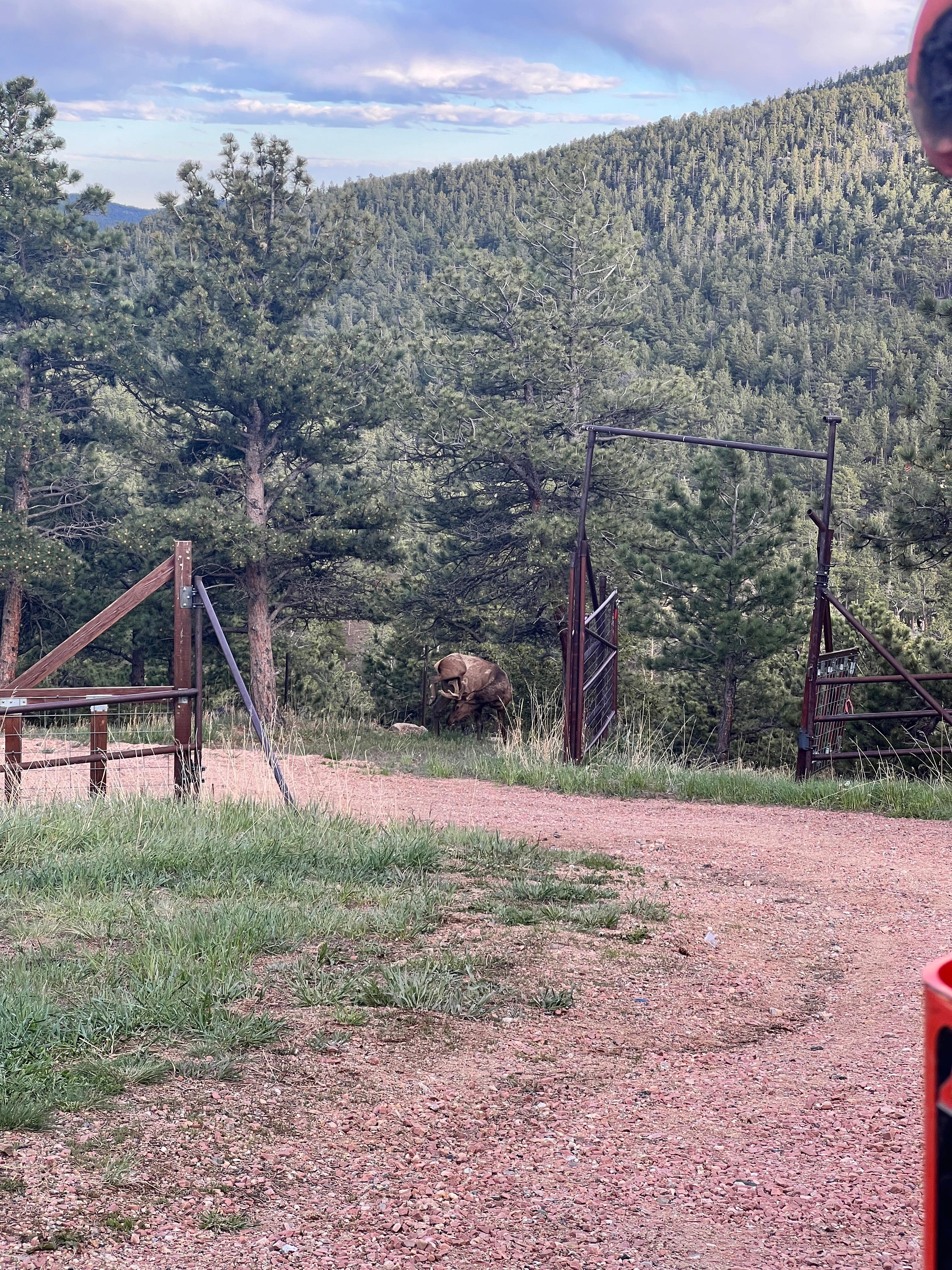 High Point Ranch