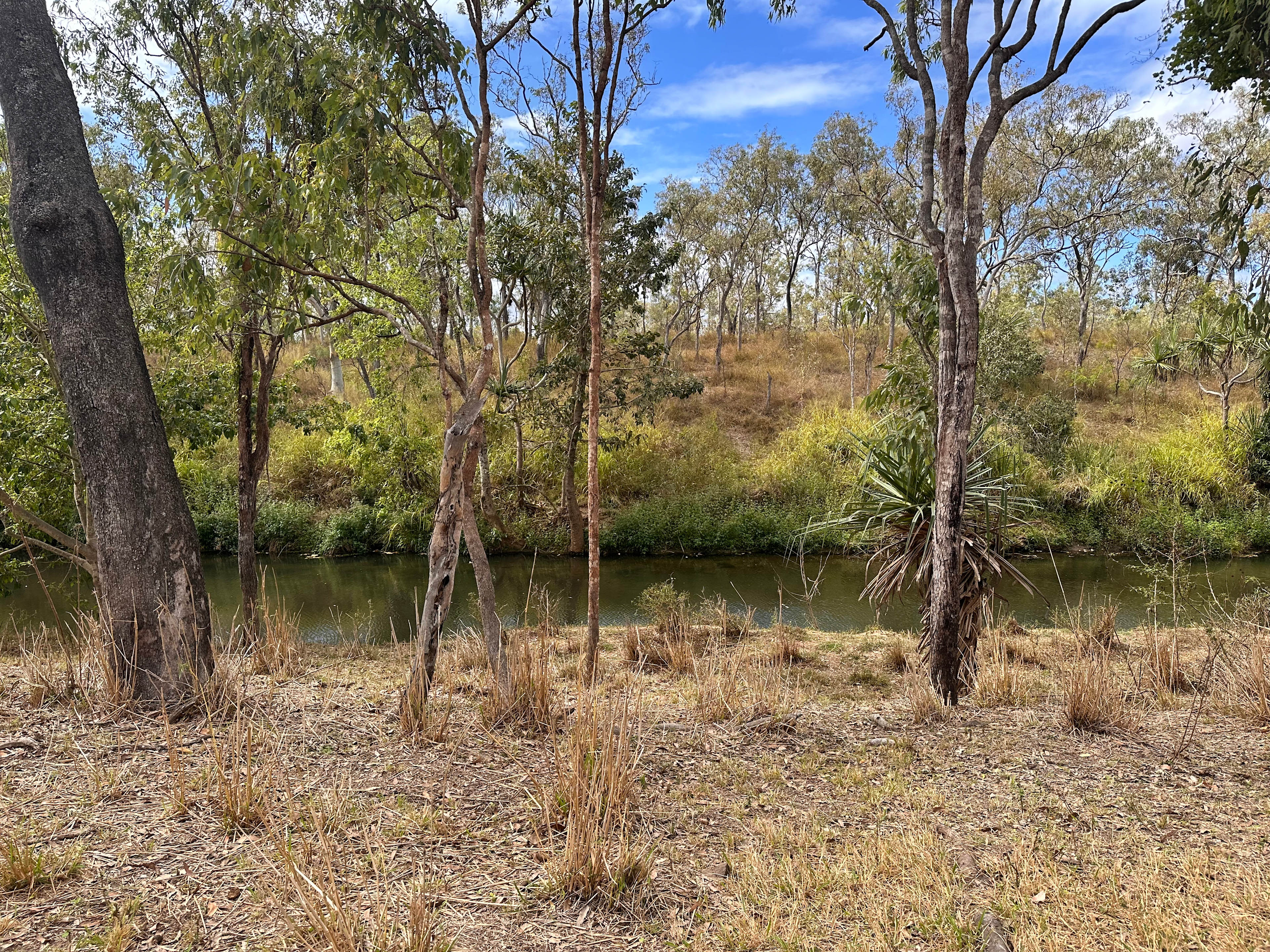 Goanna Gully
