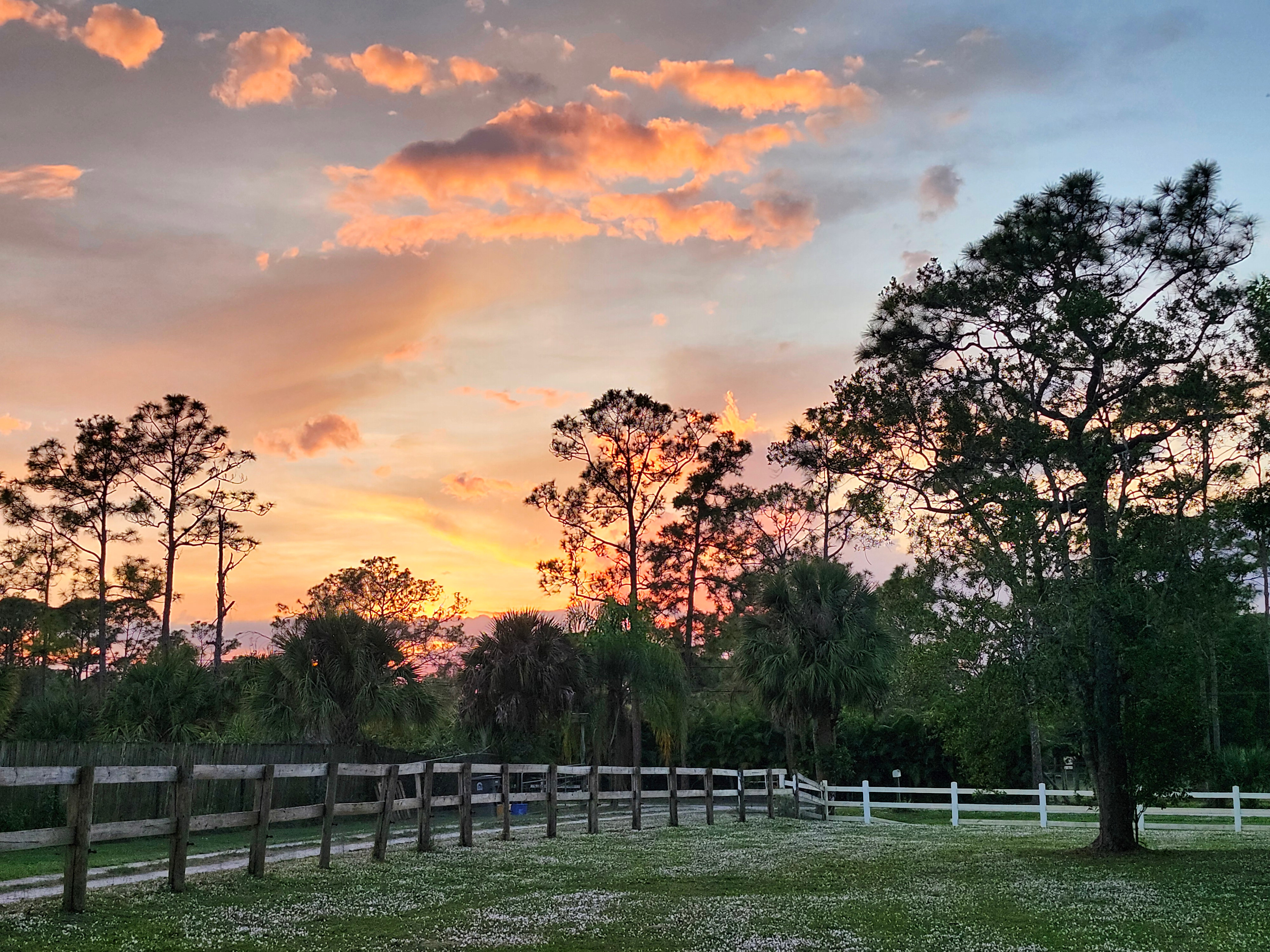 RV in the Heart of Jupiter Farms