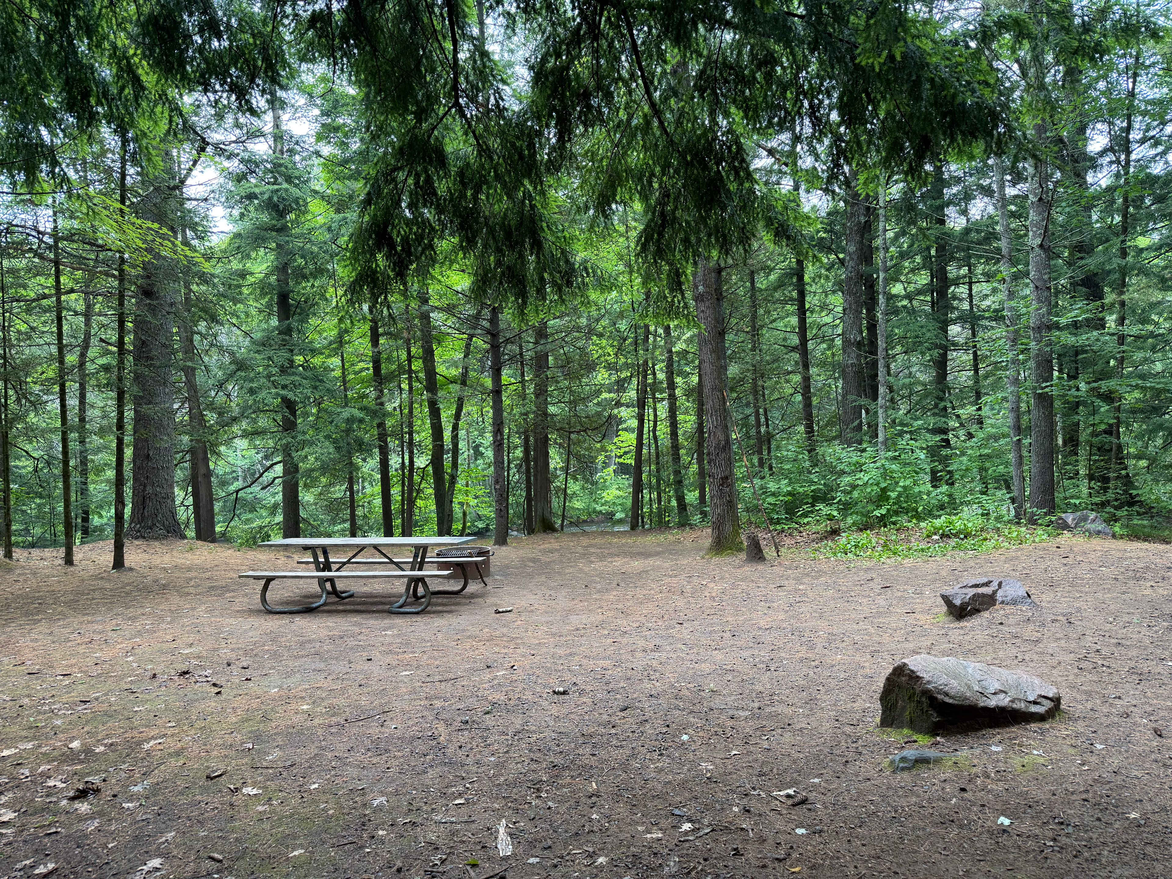 Nicolet National Forest