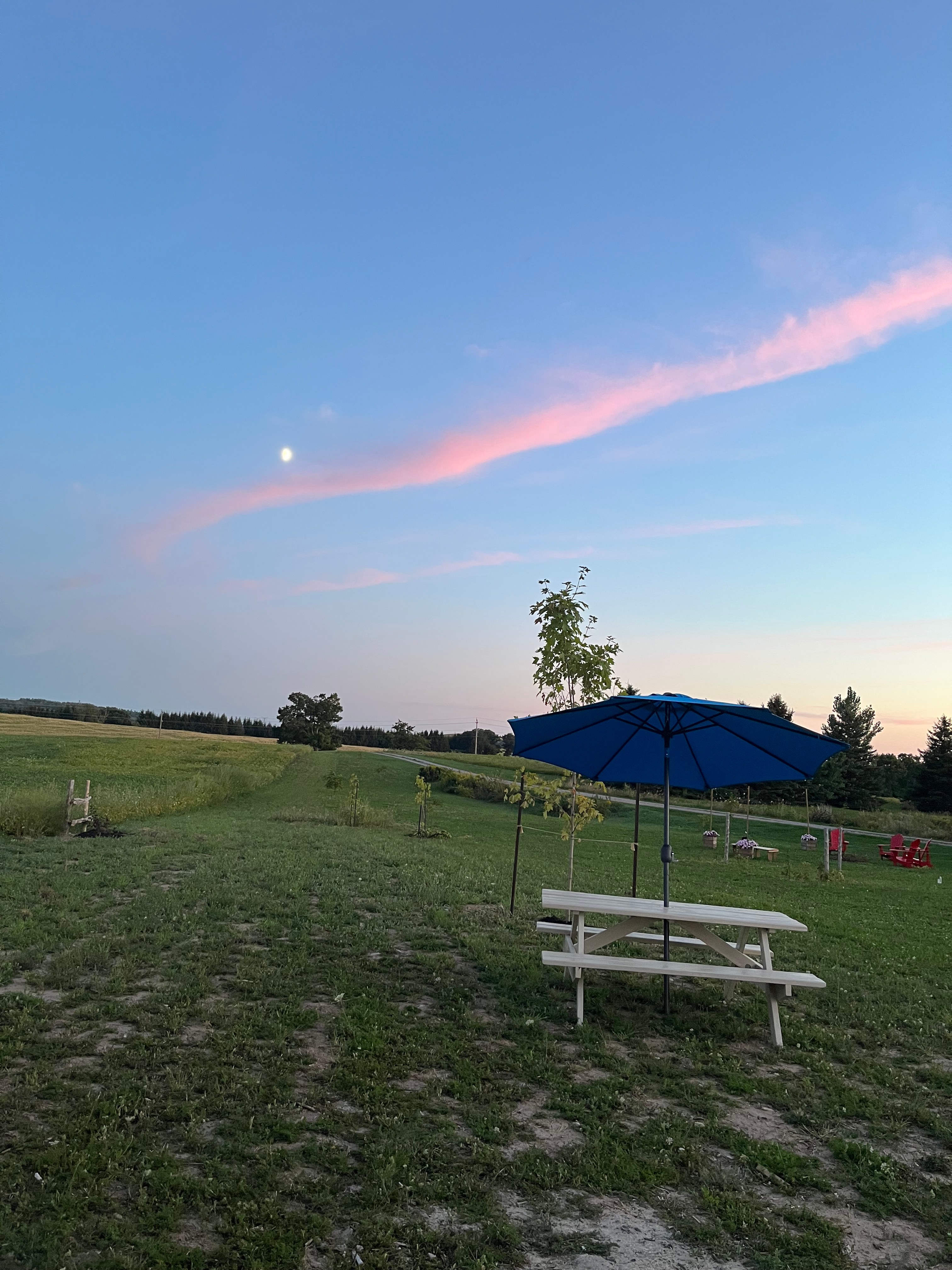 The Westington Farm