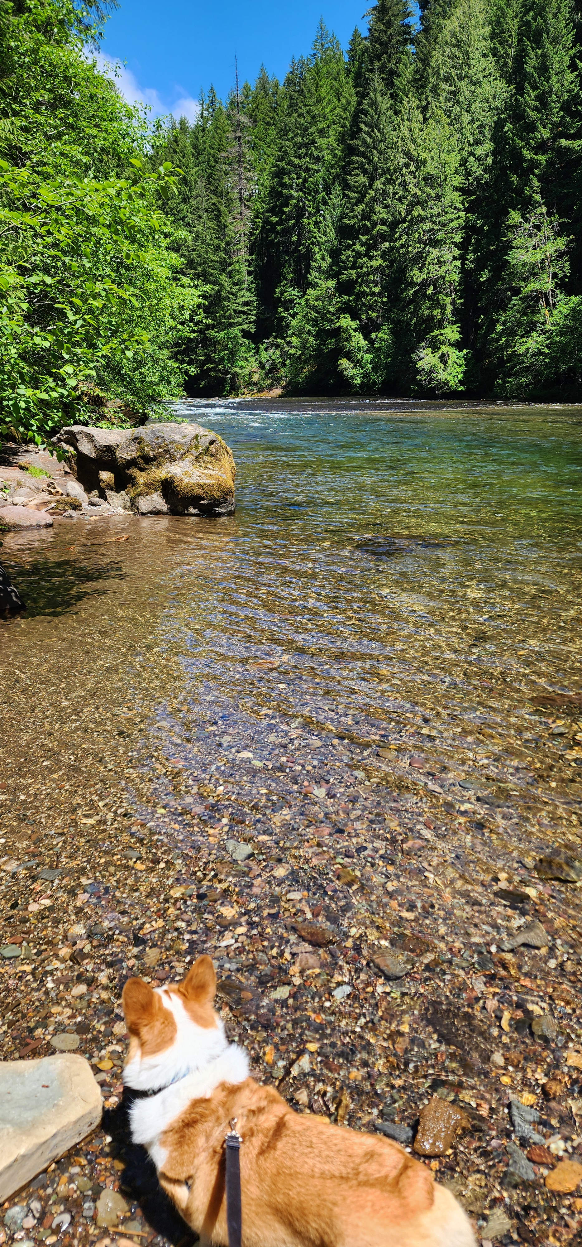 Lower Falls Campground