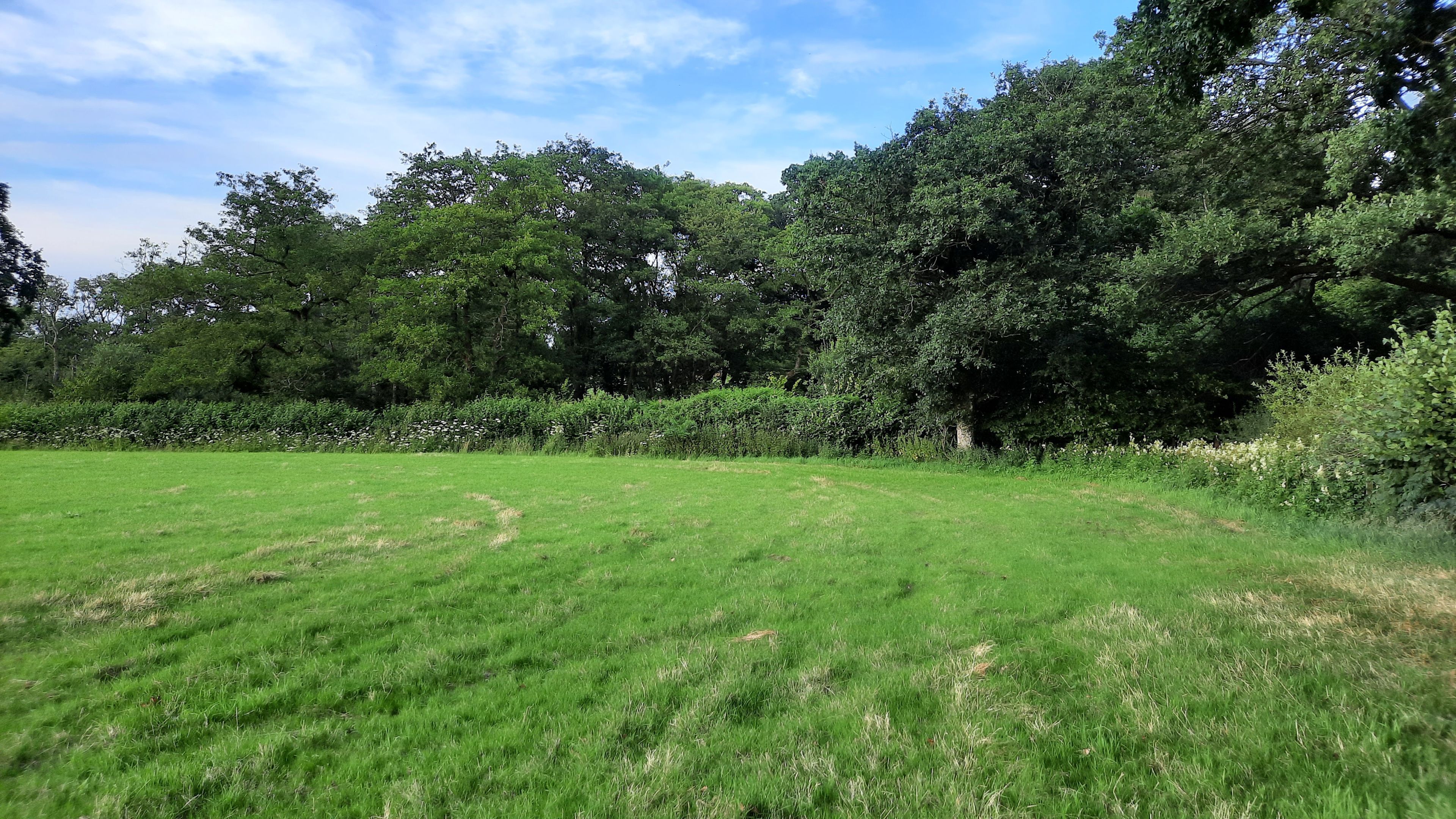 The Bryn Farm Camping