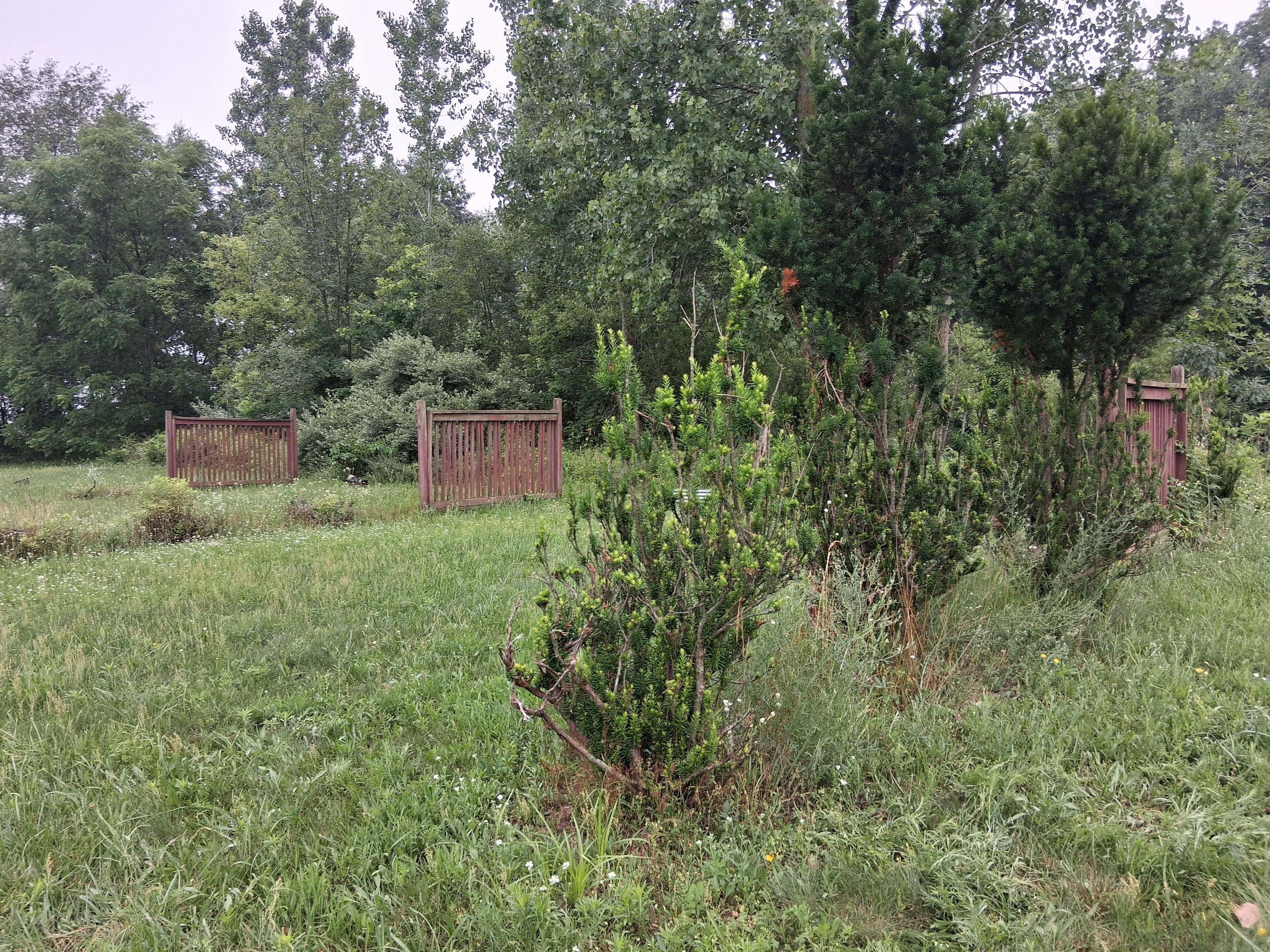 New Holland Campground