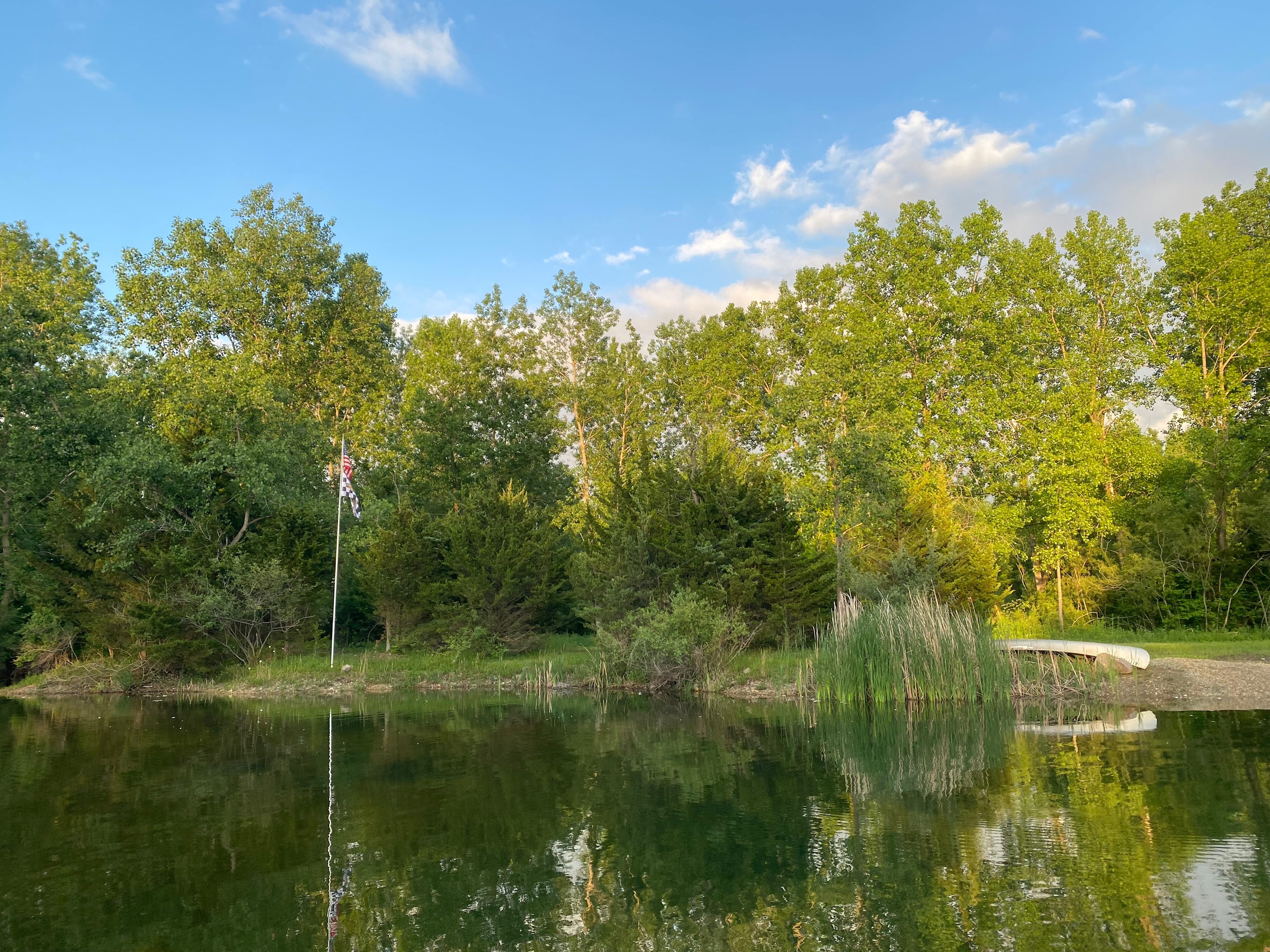 Cattail Springs