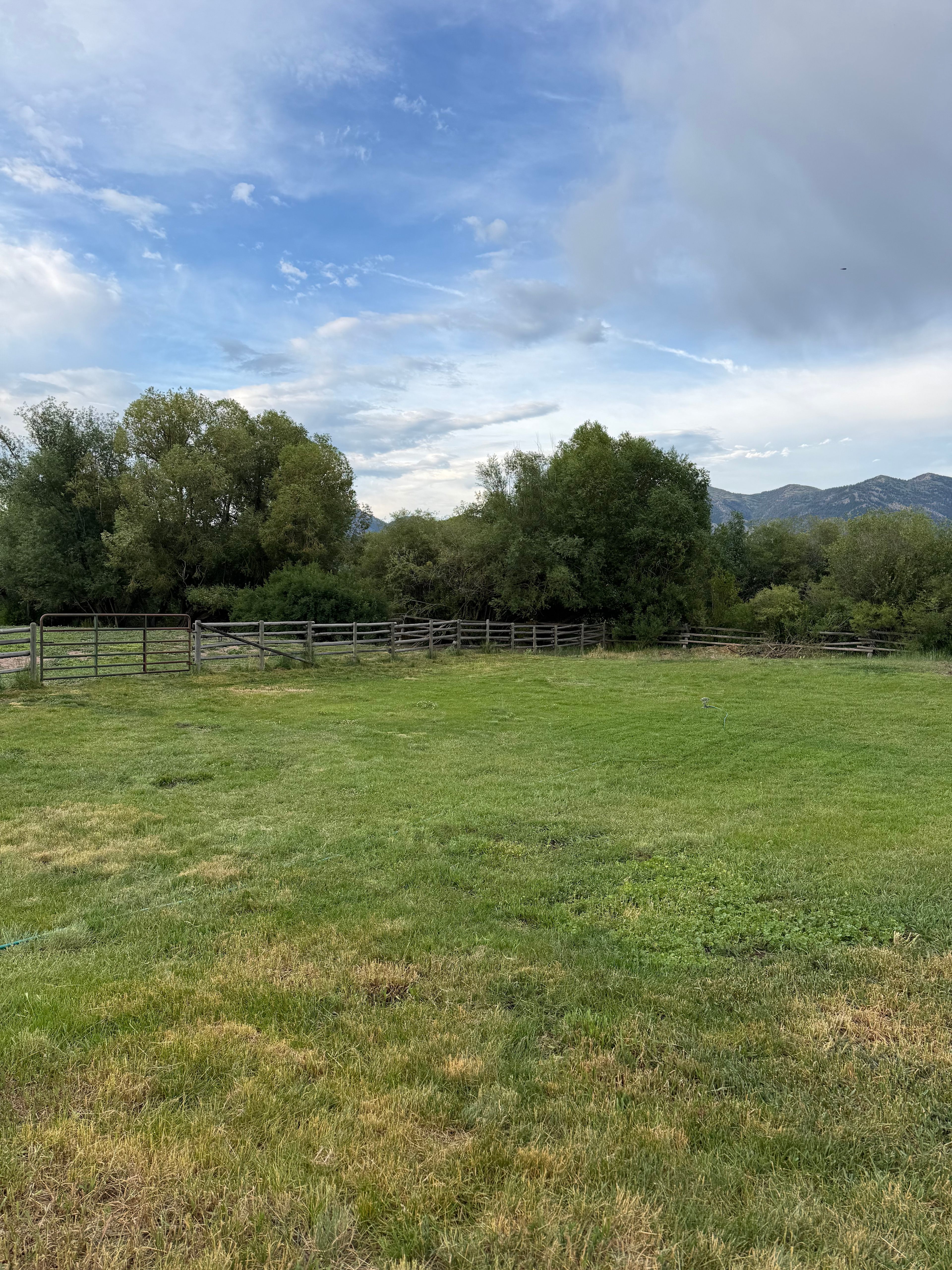 Elk View Acres