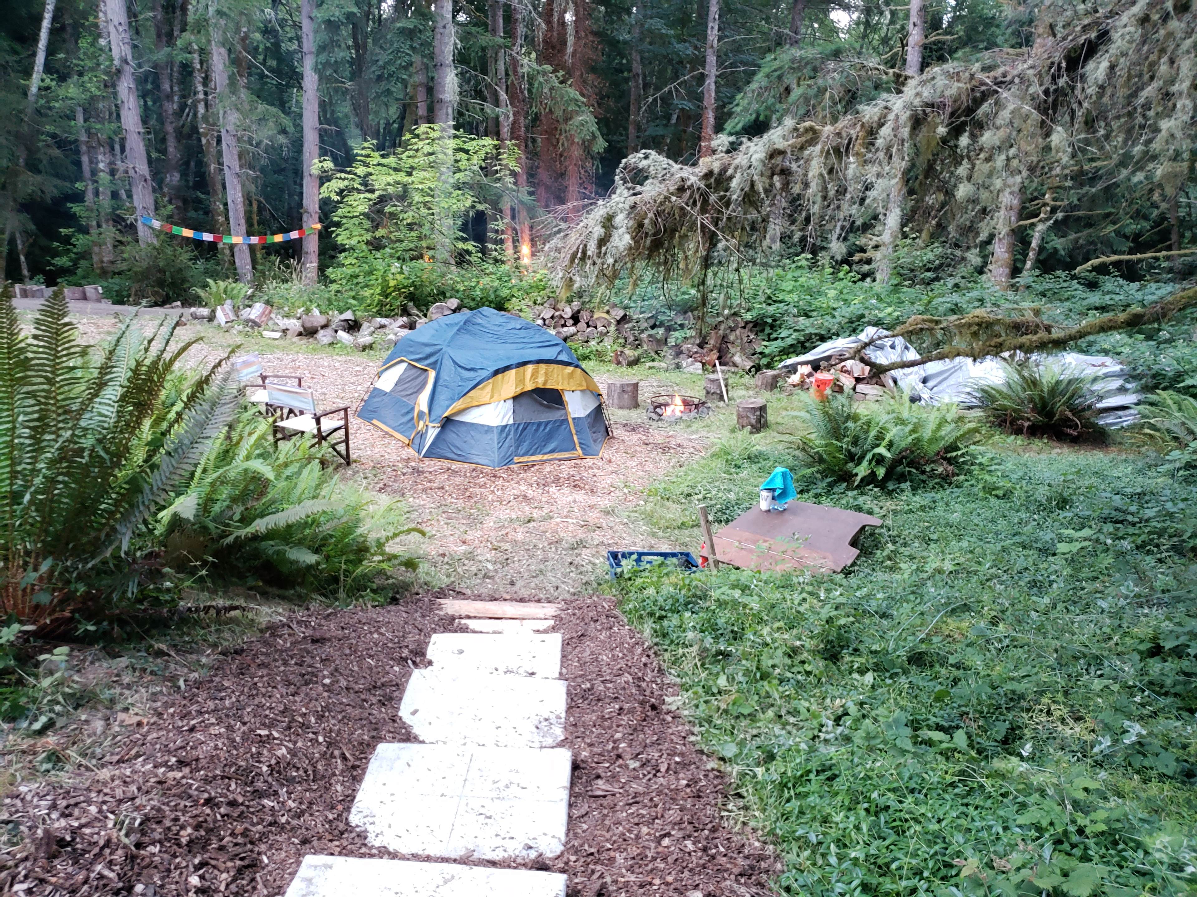 Wild Grace Forest Retreat