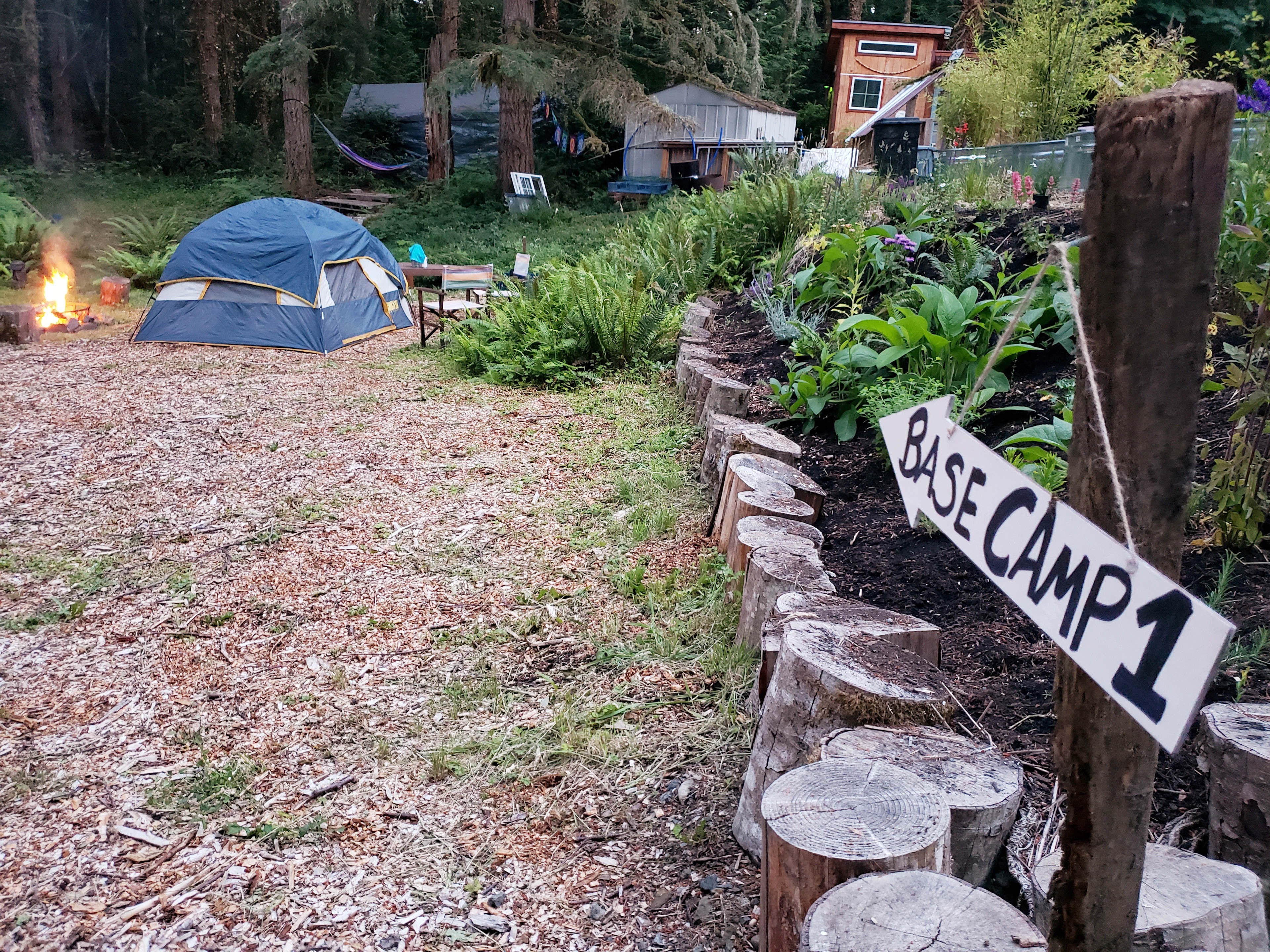 Wild Grace Forest Retreat