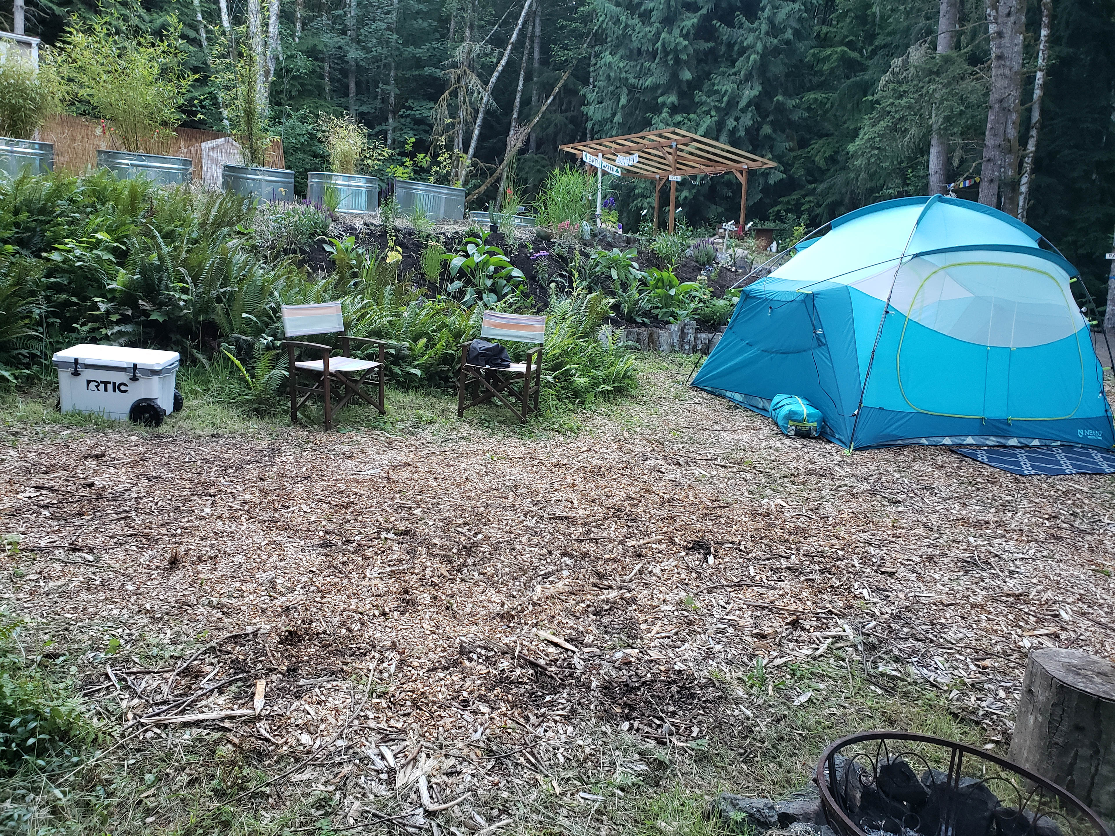 Wild Grace Forest Retreat