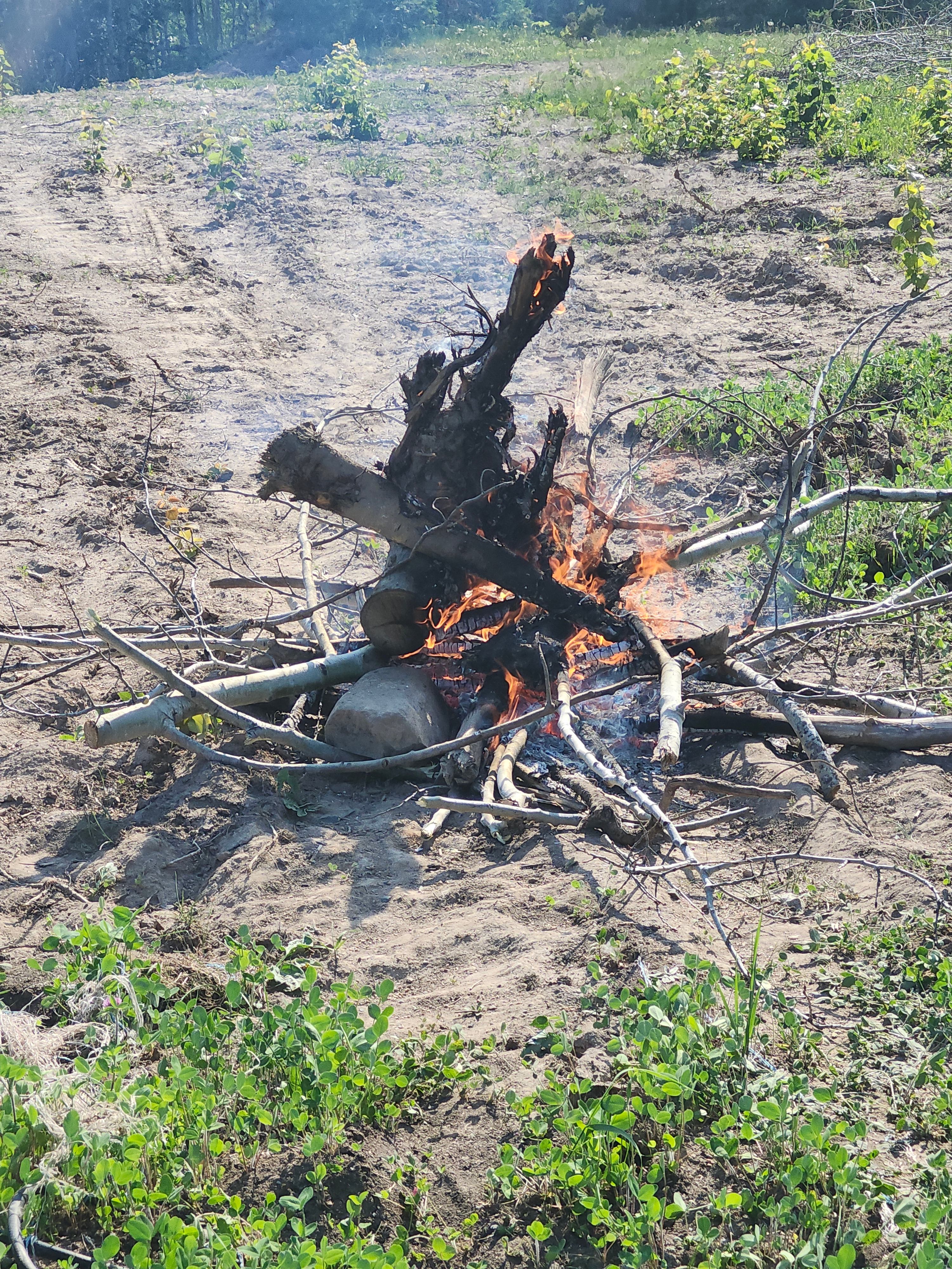 Brush debris i used to make a fire