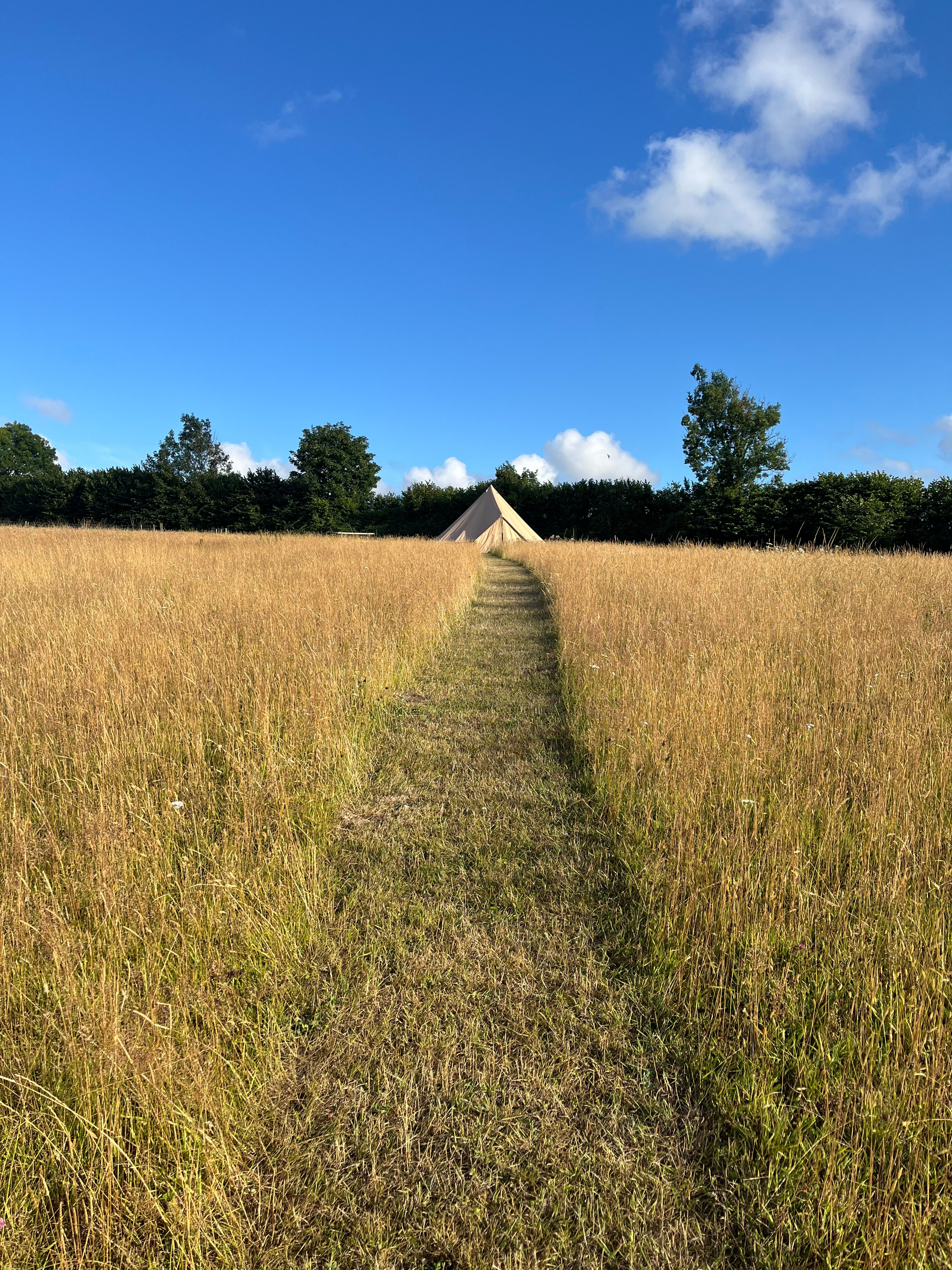Wild Meadow Camp at Lower Hewood
