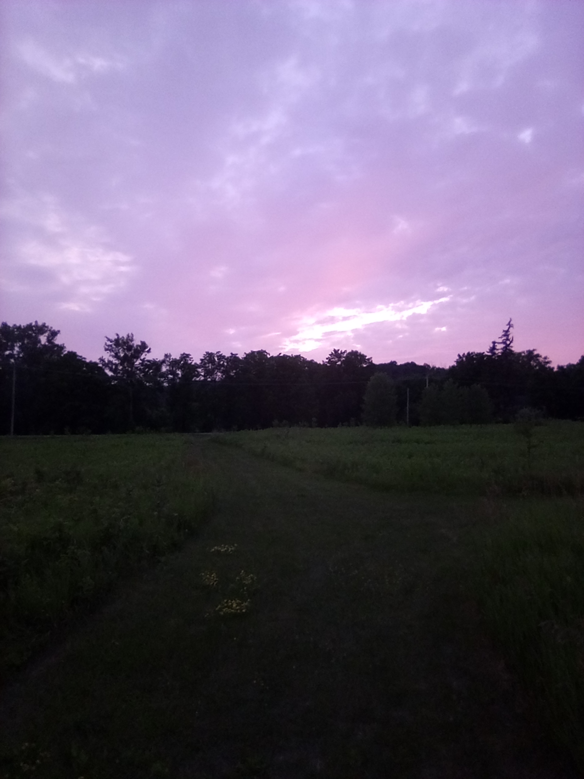 Exodus Farms