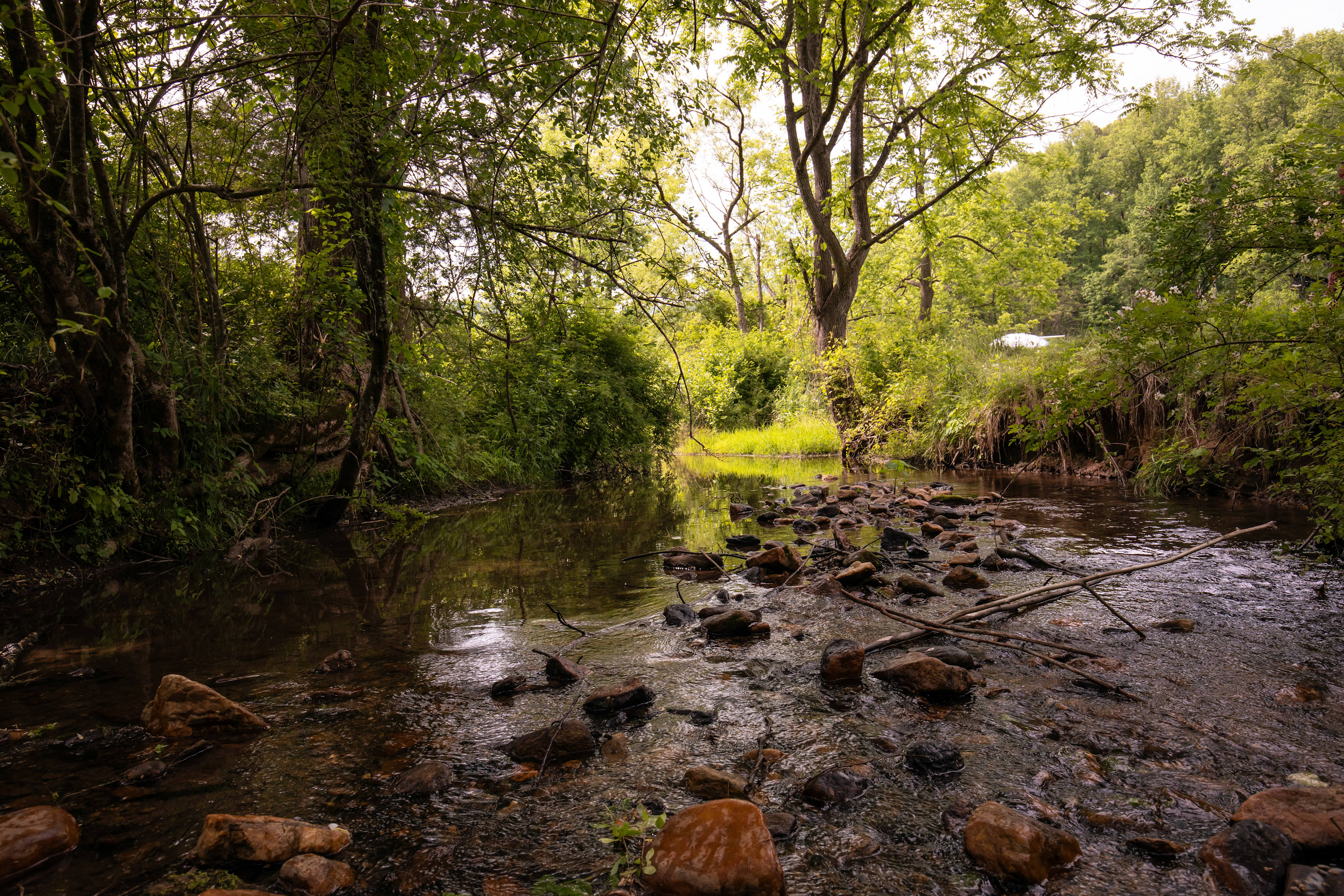 Creekside Off-Grid Domes