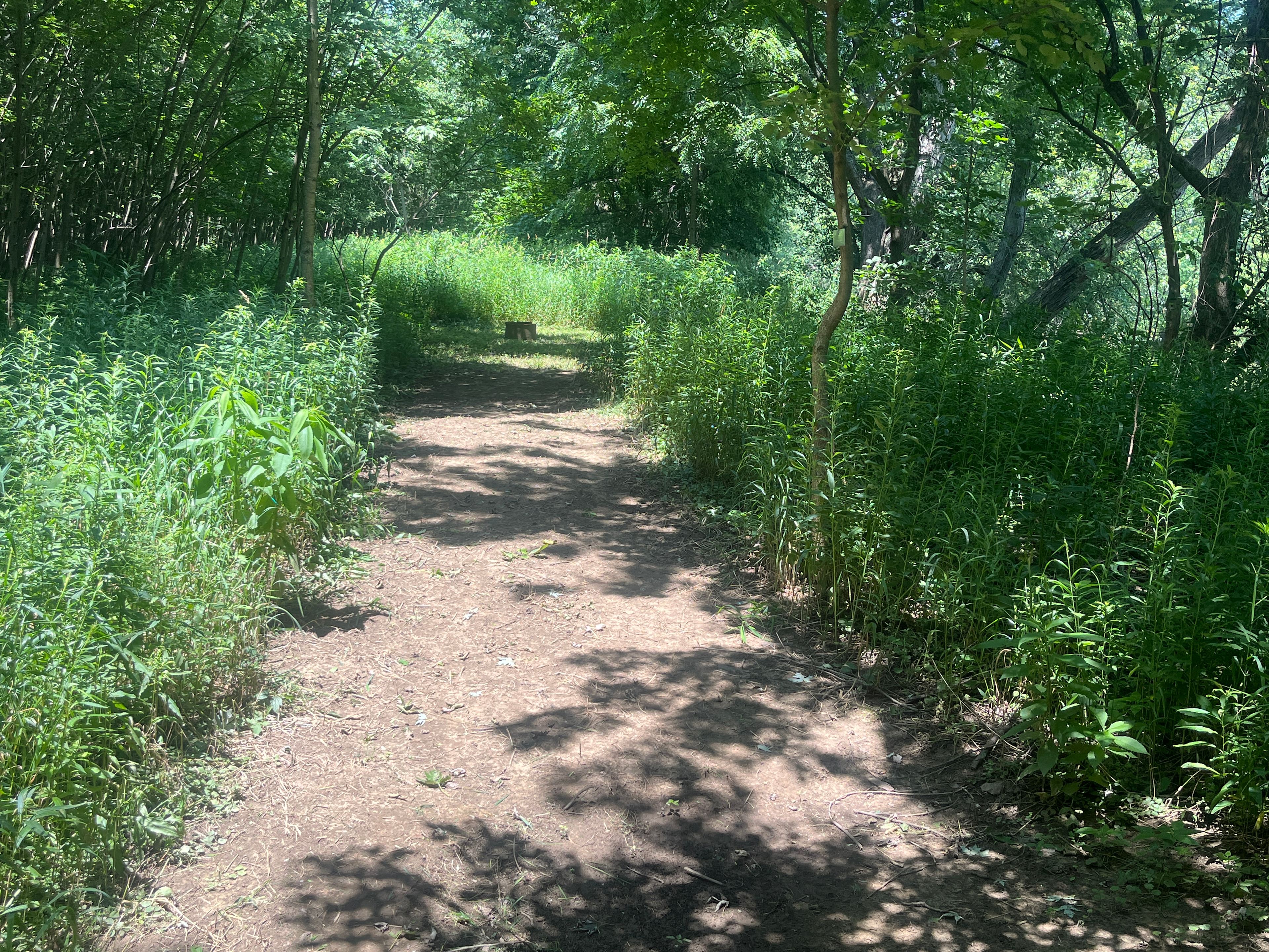 River’s Edge at Lewis Farms