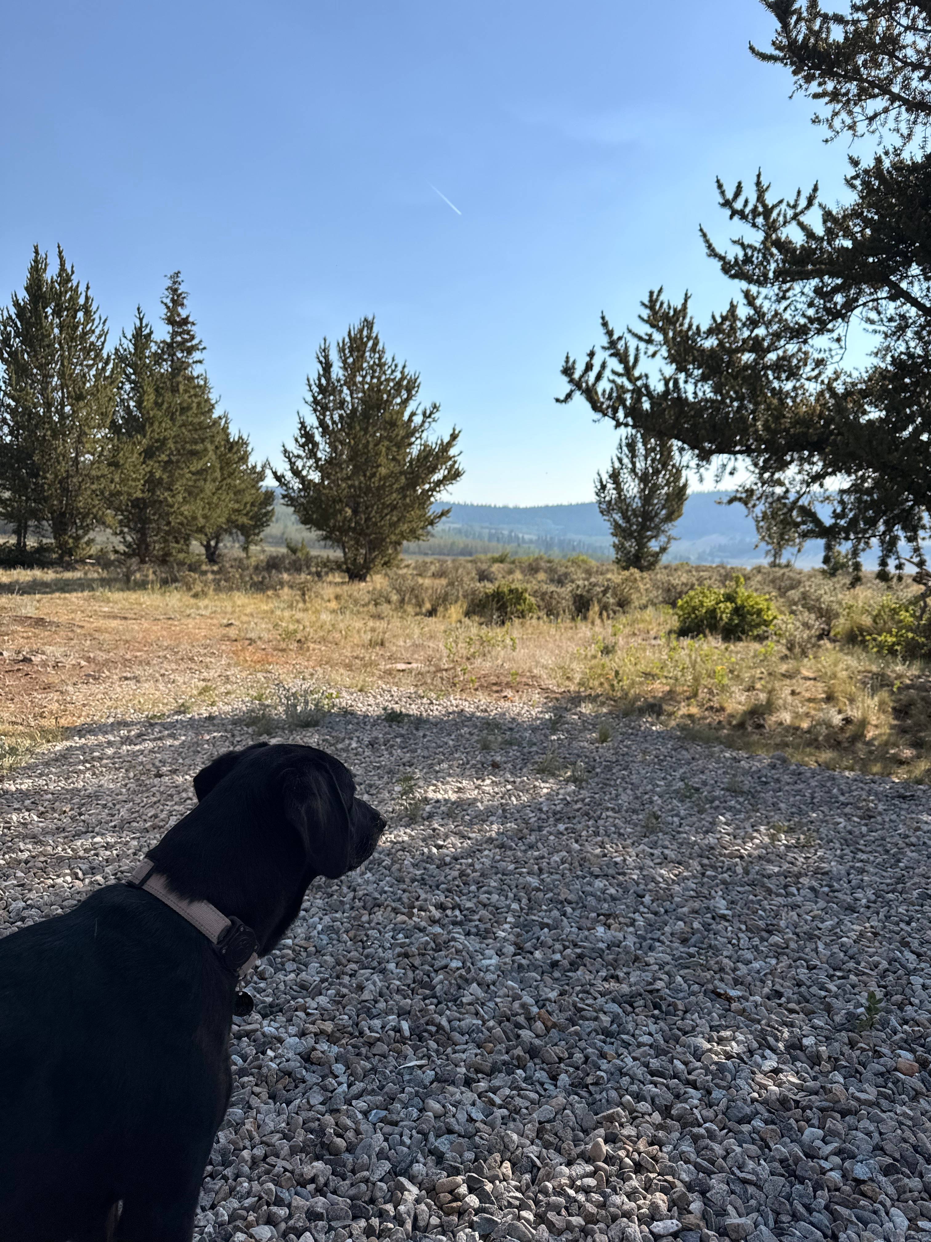 Whispering Pines Glamping