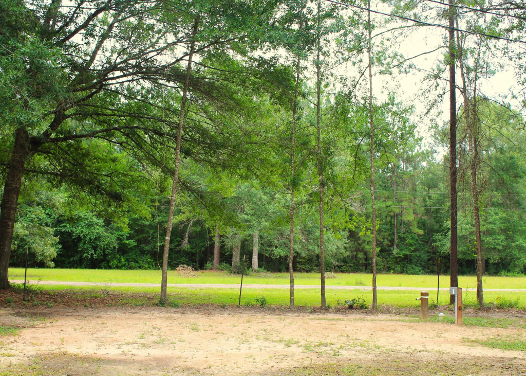 Olson's Place