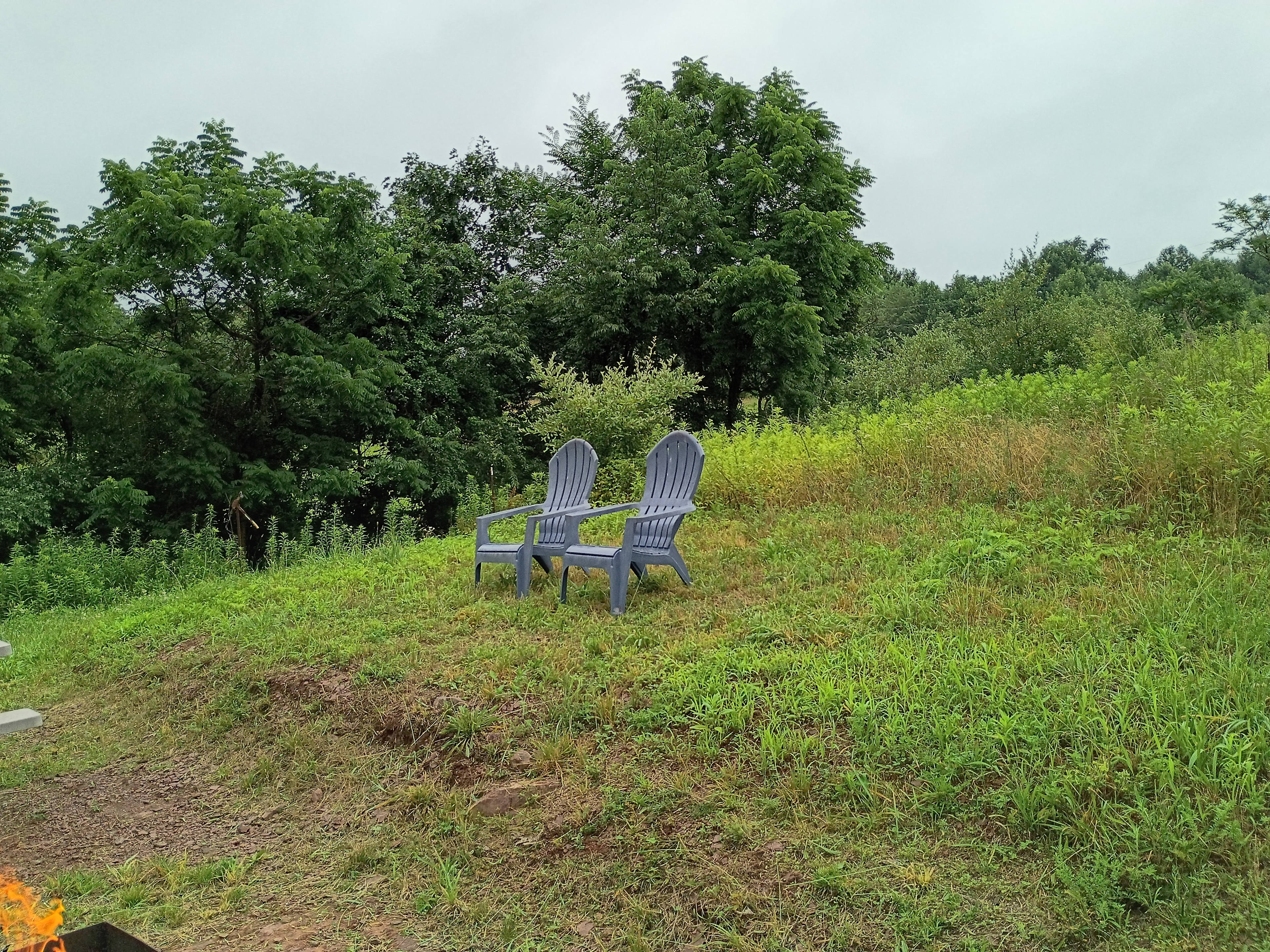 The Farm at Millwood Drive