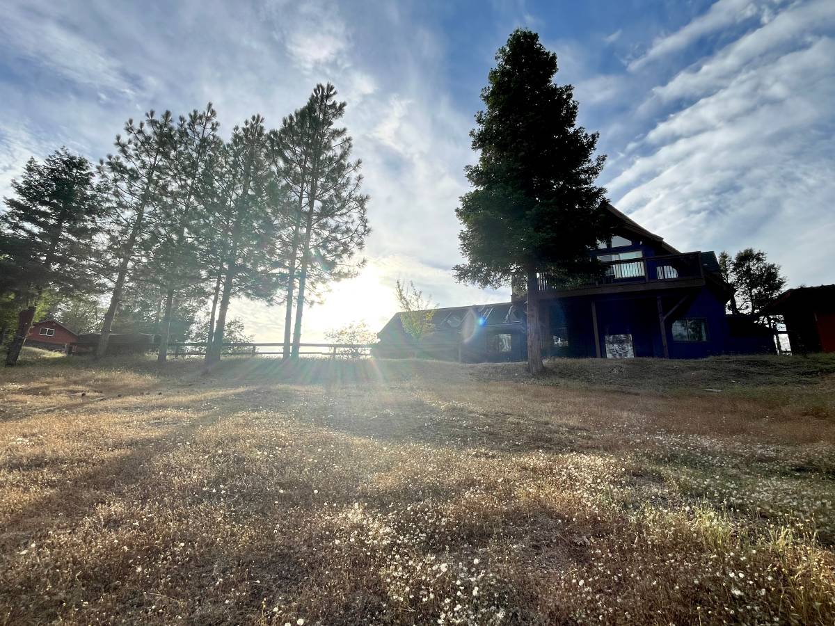 Foxfell At Shasta Lake