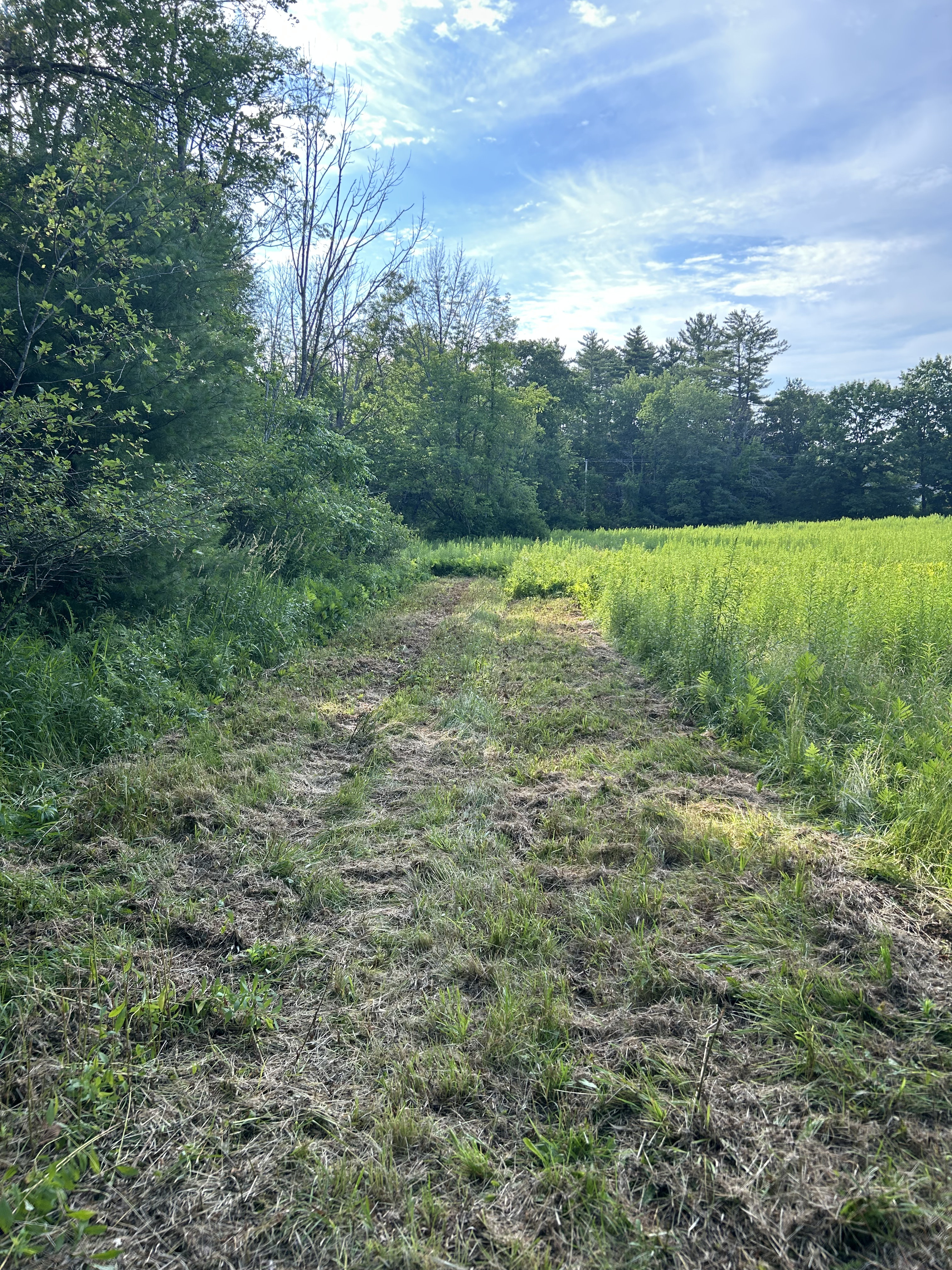 Bogworts Historic 1740s Wilderness Farm
