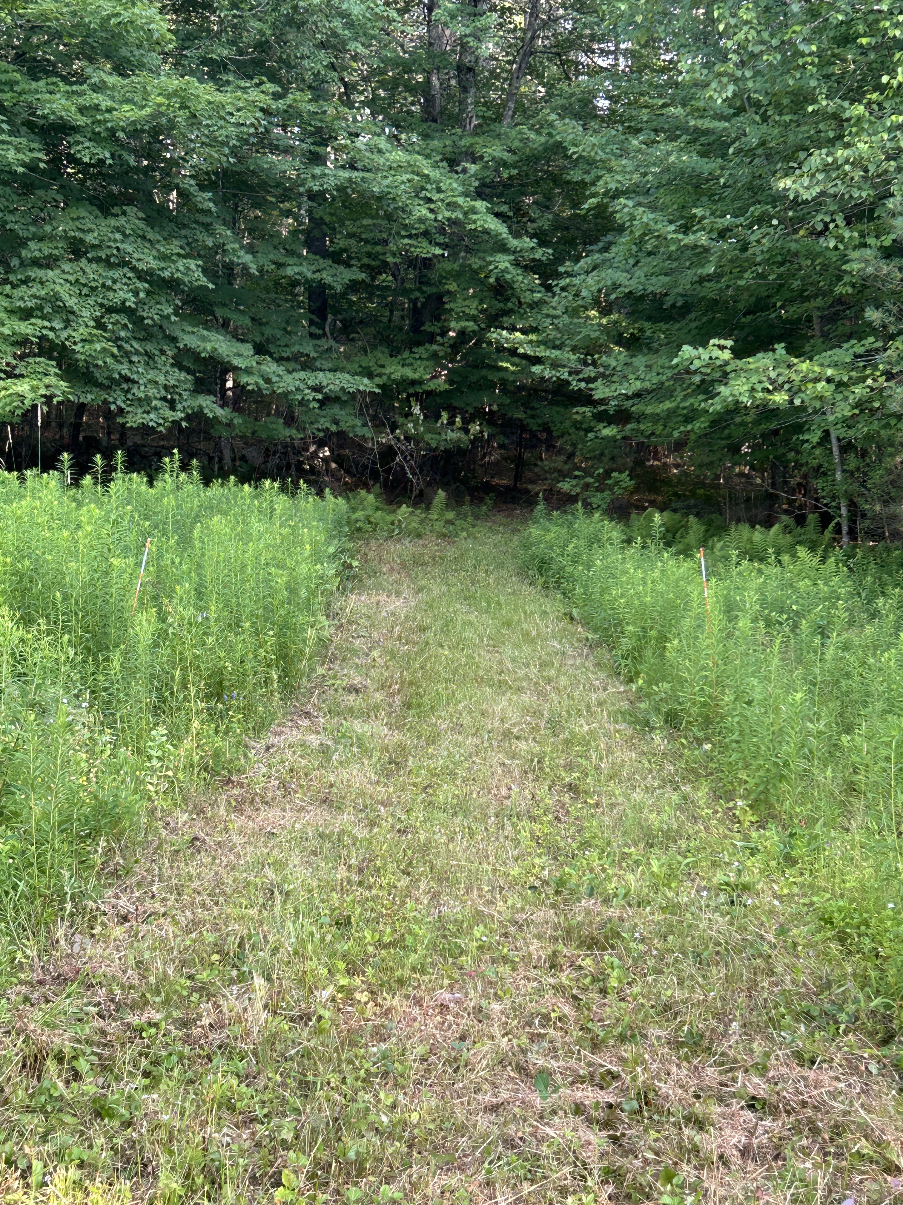 Bogworts Historic 1740s Wilderness Farm