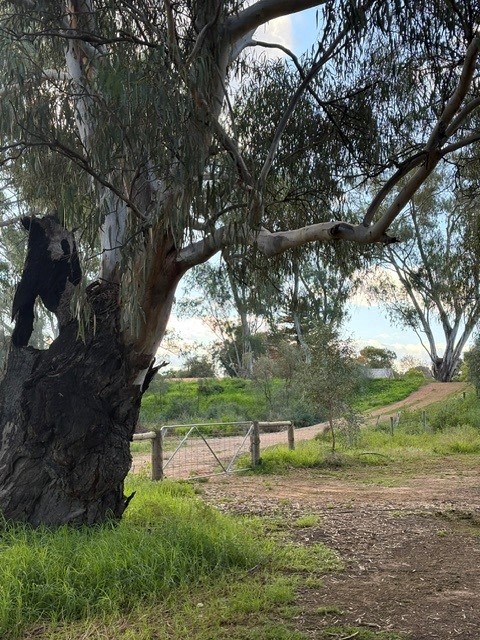 DARLING RIVER GETAWAY