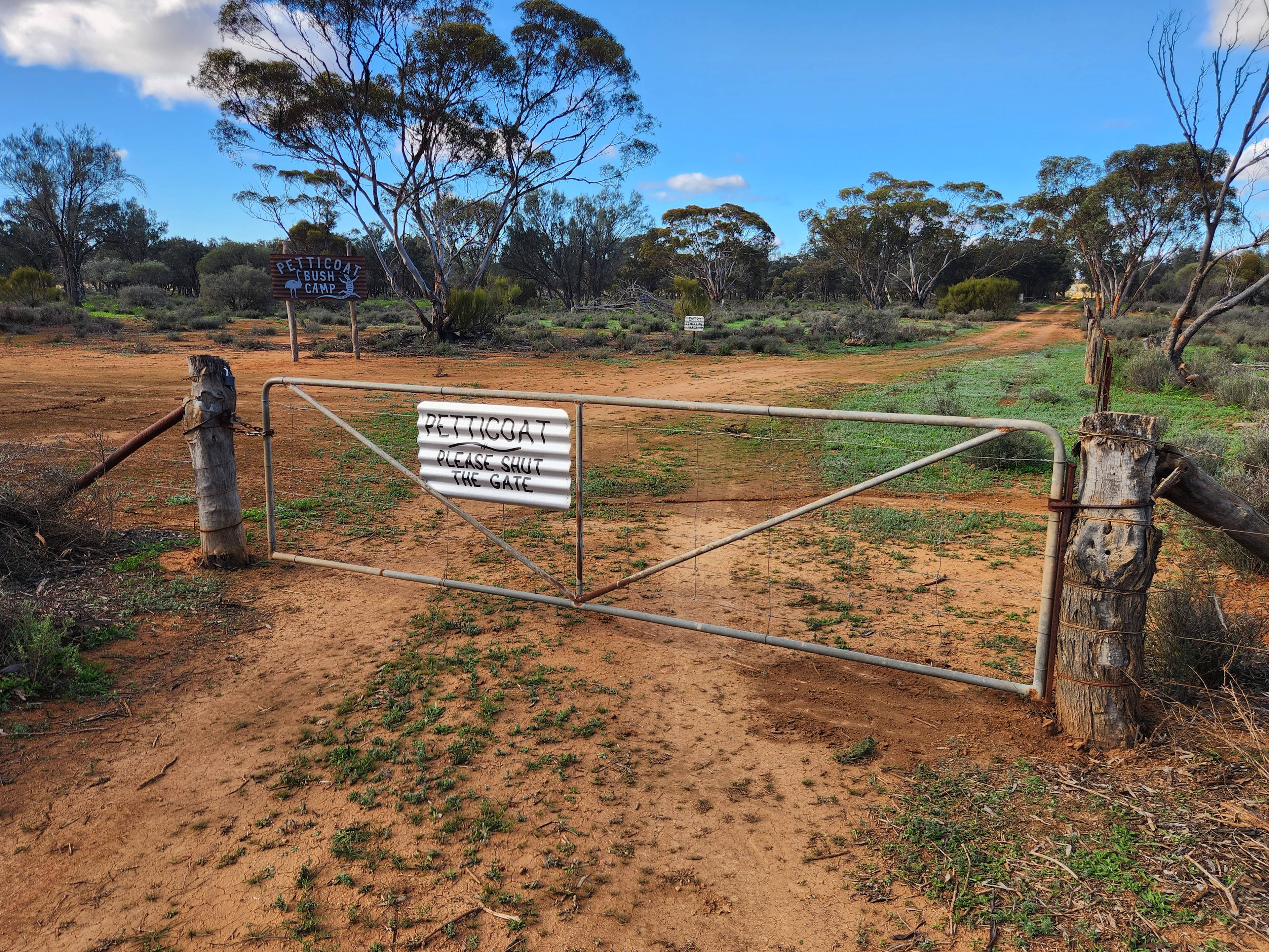 Petticoat Bush Camp
