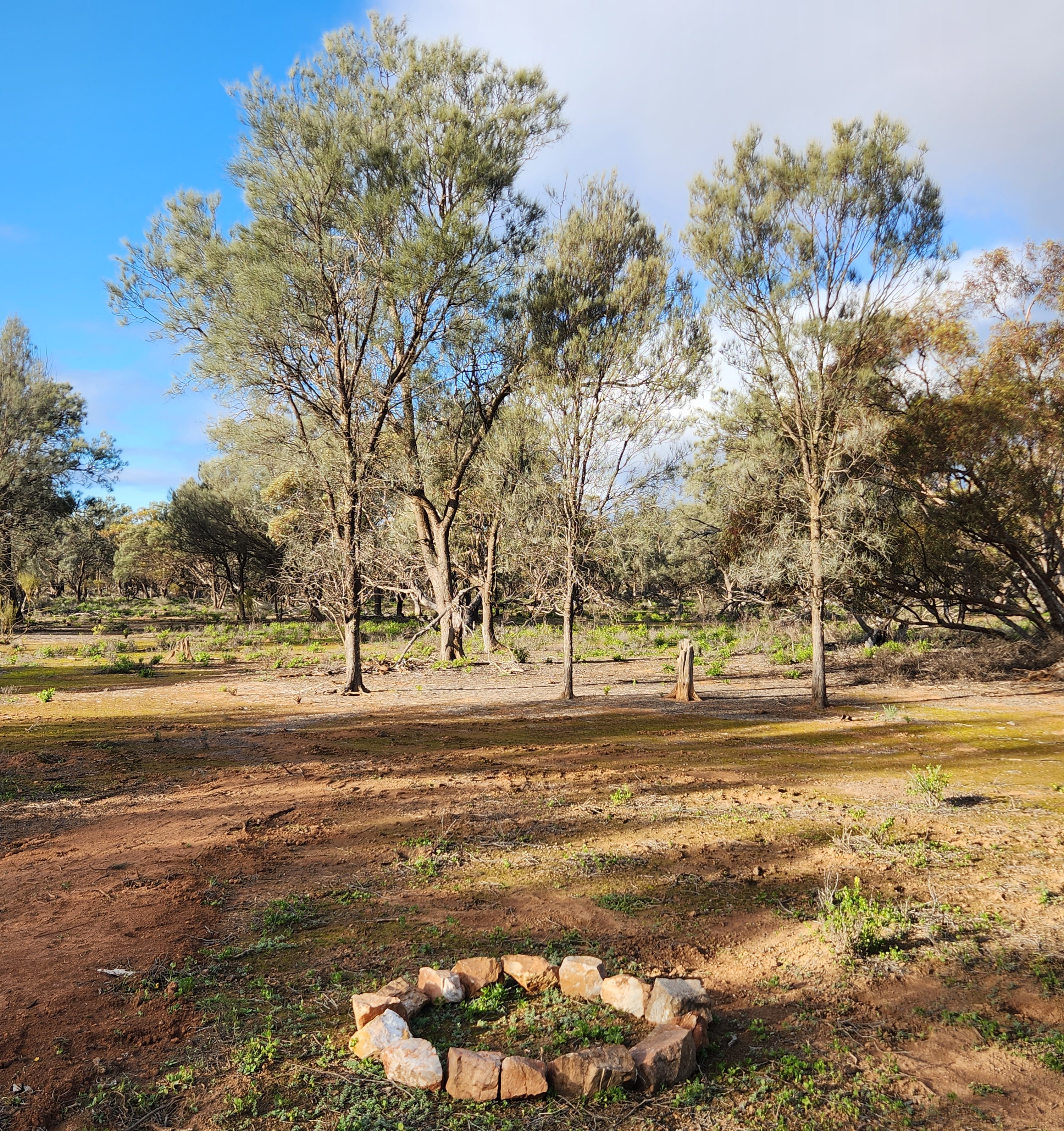 Petticoat Bush Camp